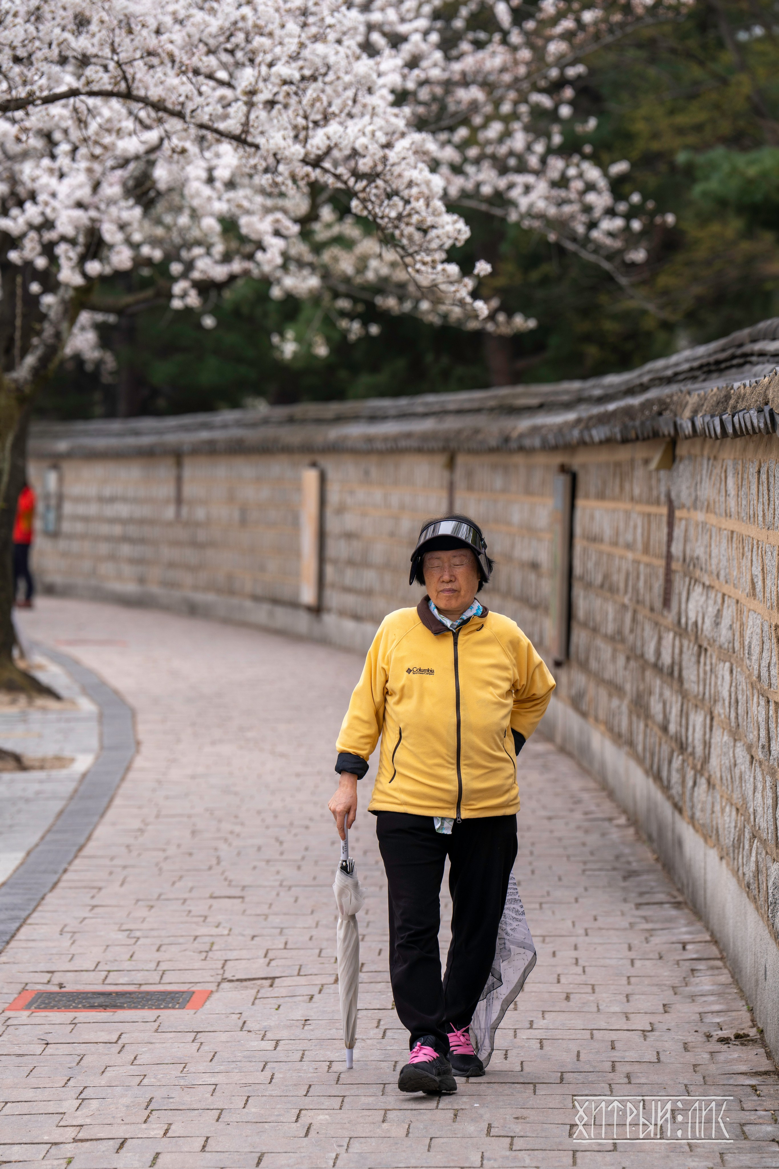 Южная Корея. Фотограф-путешественник Самойлов Максим «Sly Fox»