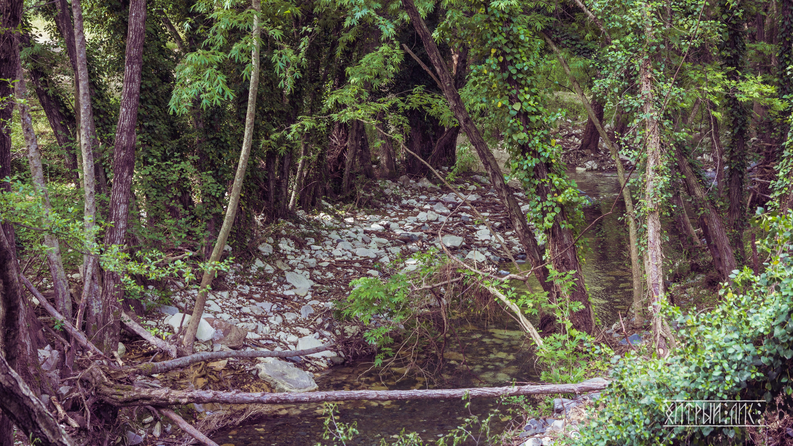 Кипр. Фотограф-путешественник Самойлов Максим «Sly Fox»