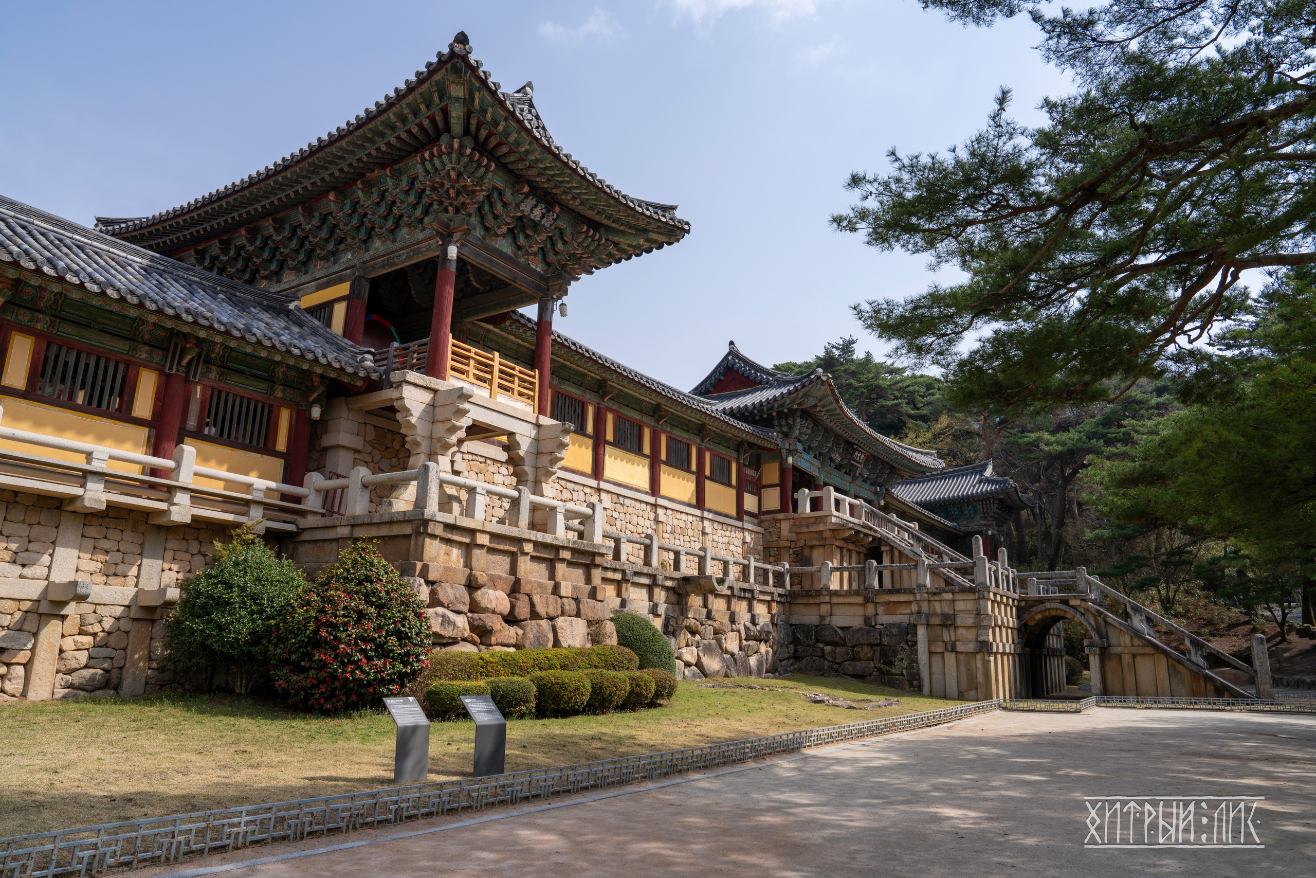 Южная Корея. Фотограф-путешественник Самойлов Максим «Sly Fox»