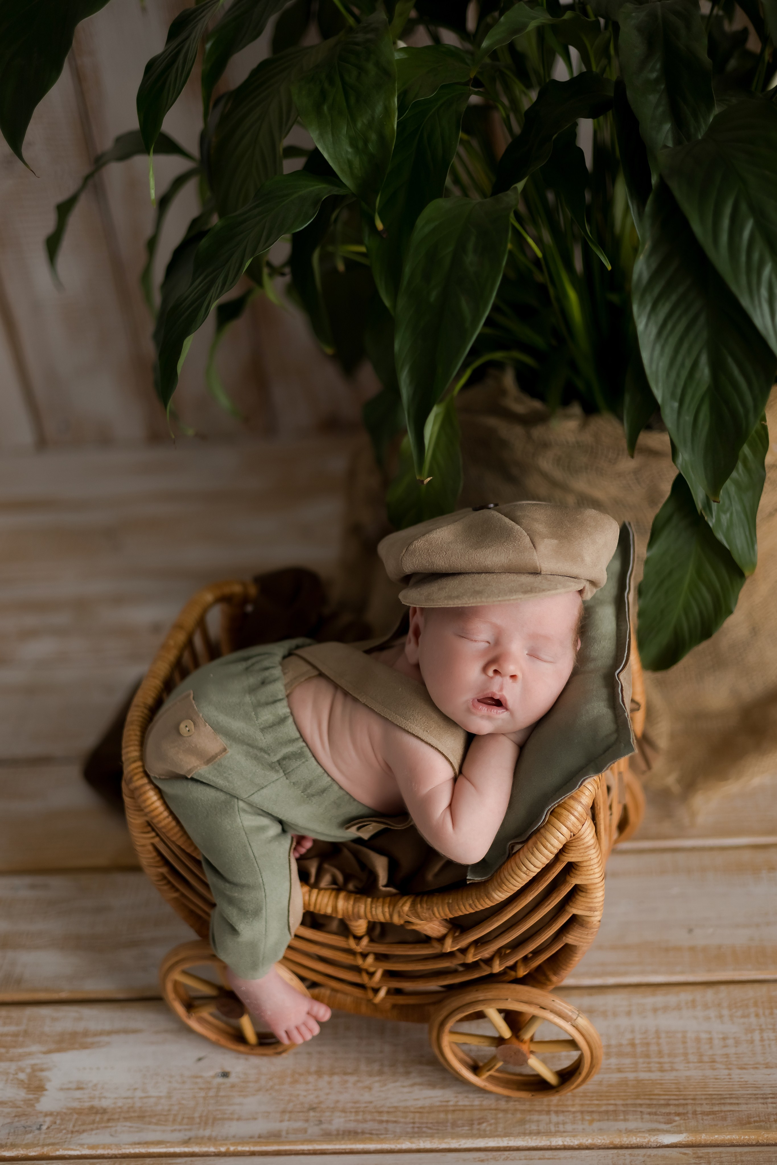 Newborn. Главная