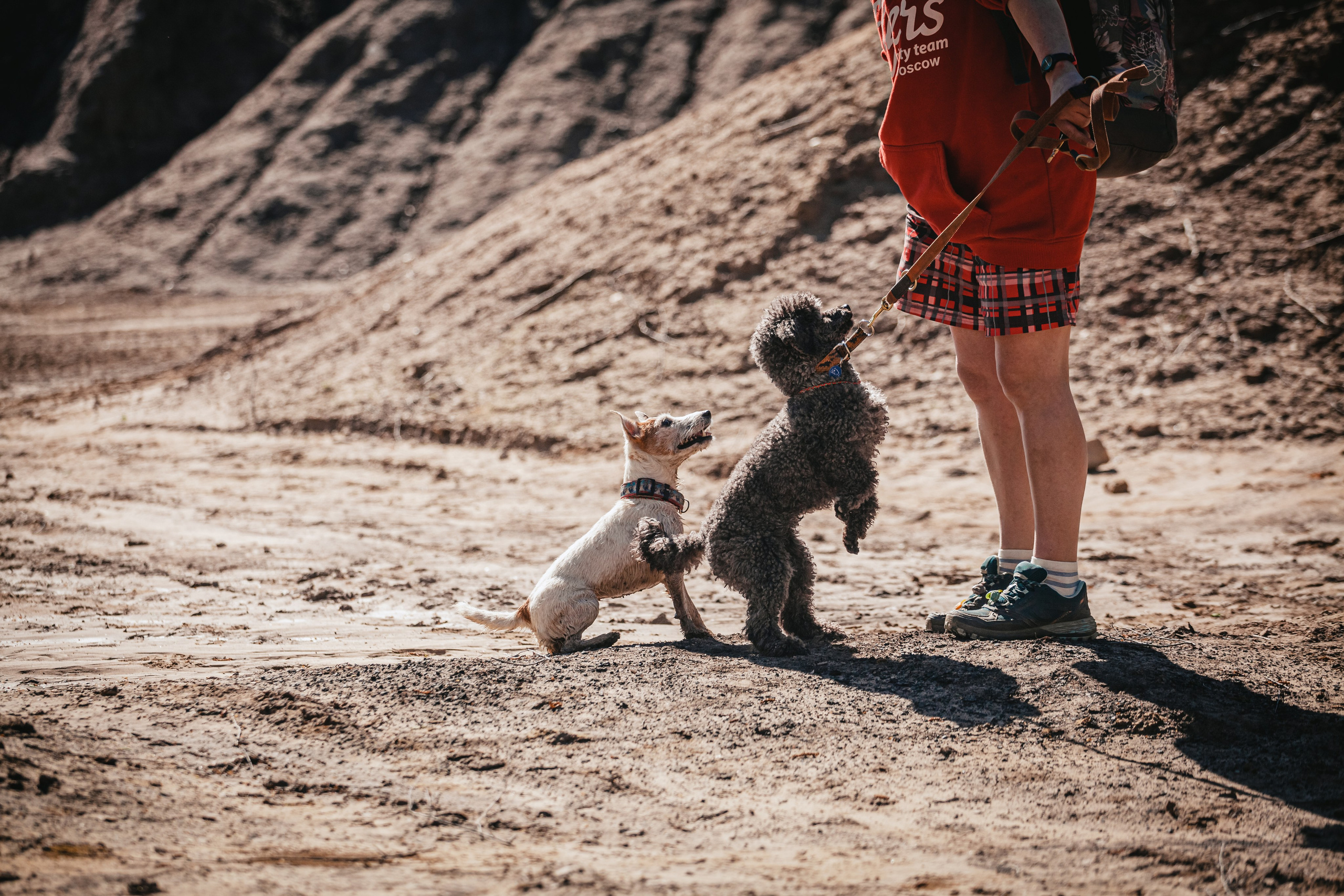 Кондуки. Фотограф-анималист Татьяна Степанова