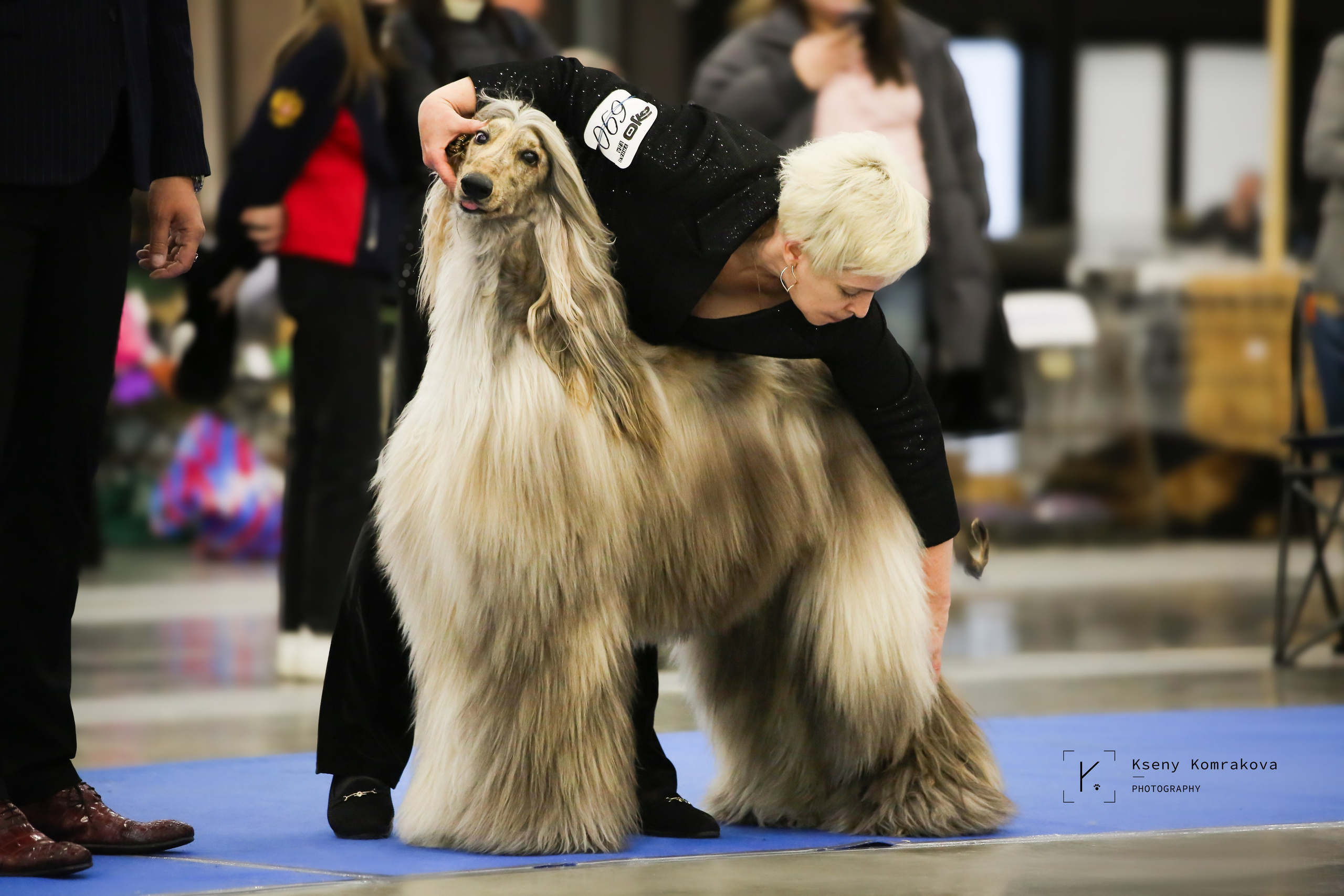 Анималистика. Репортаж. Индивидуальная съемка