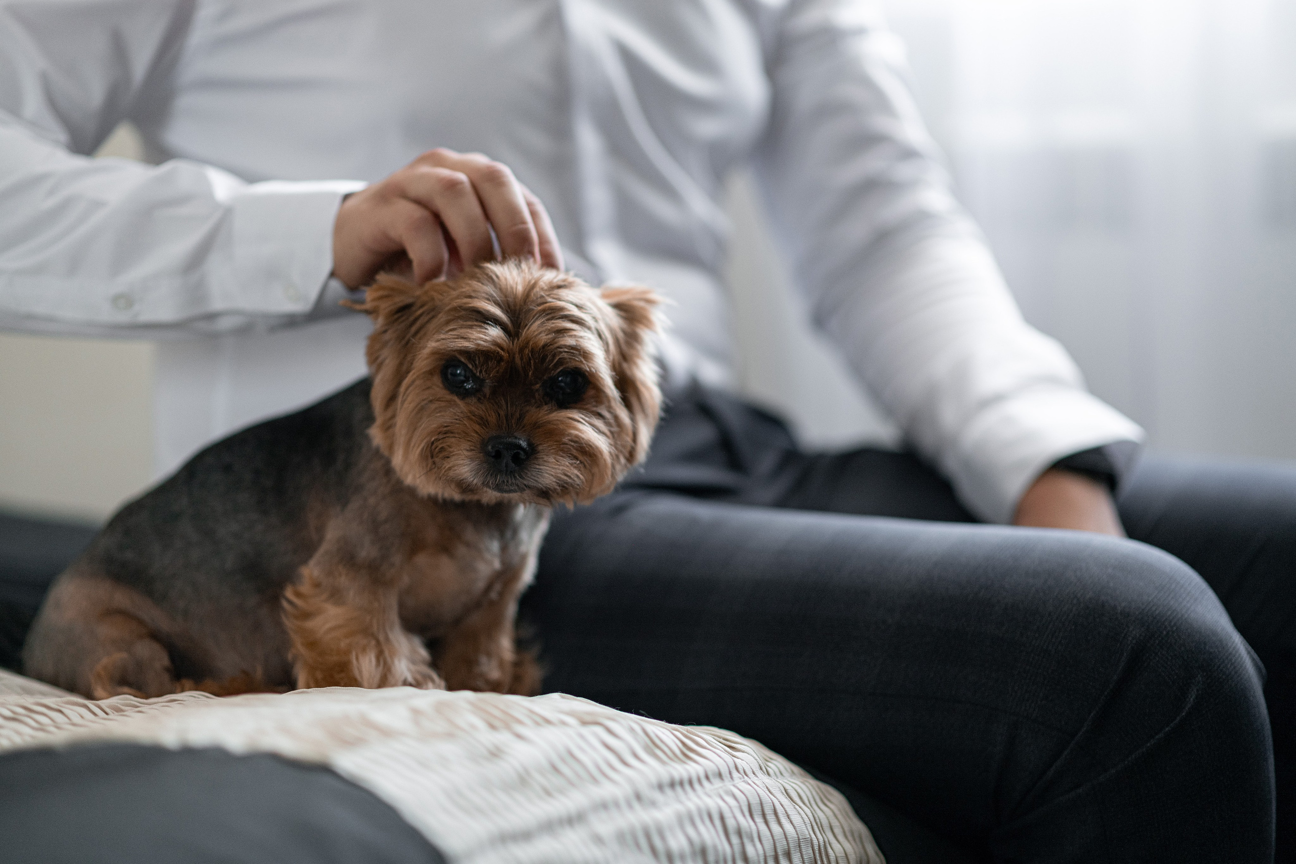 Александр и Юлия. Свадебный фотограф Белгород Валуйки Старый Оскол Воронеж
