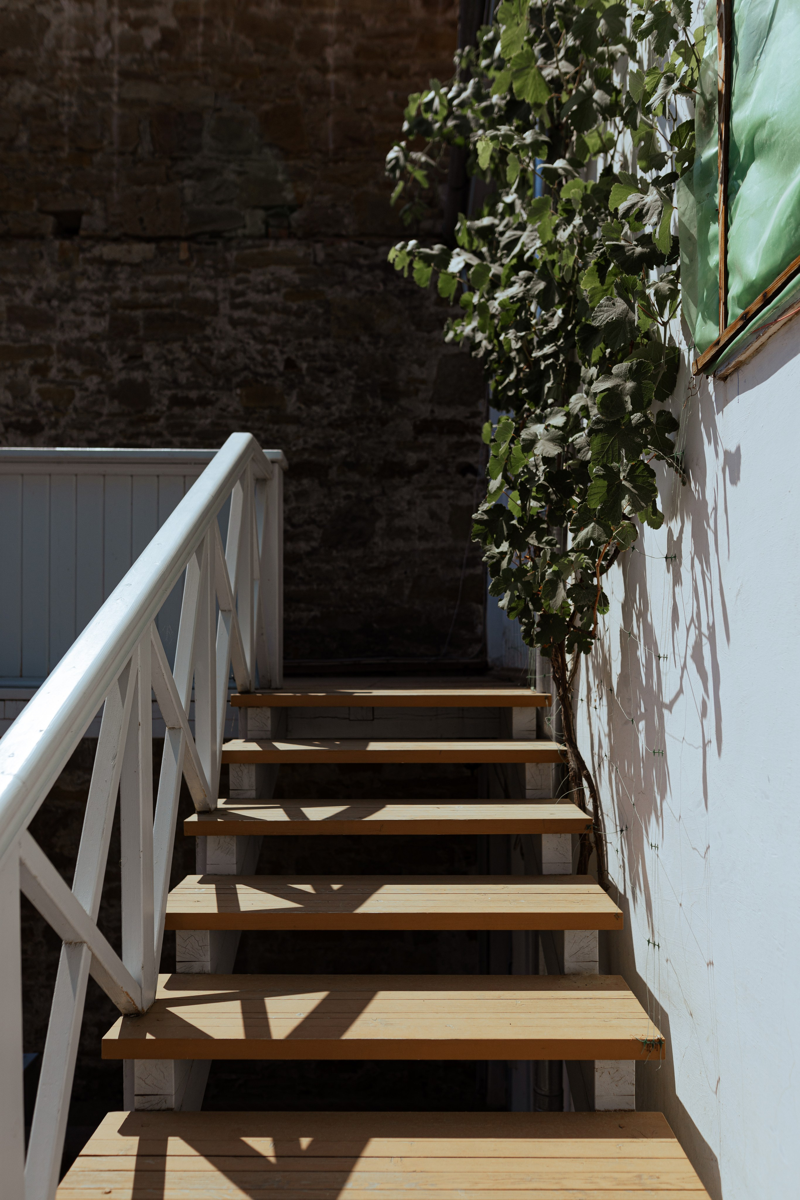 Дом-музей М. А. Волошина. Евгения Волошина Фотограф Москва / Белгород