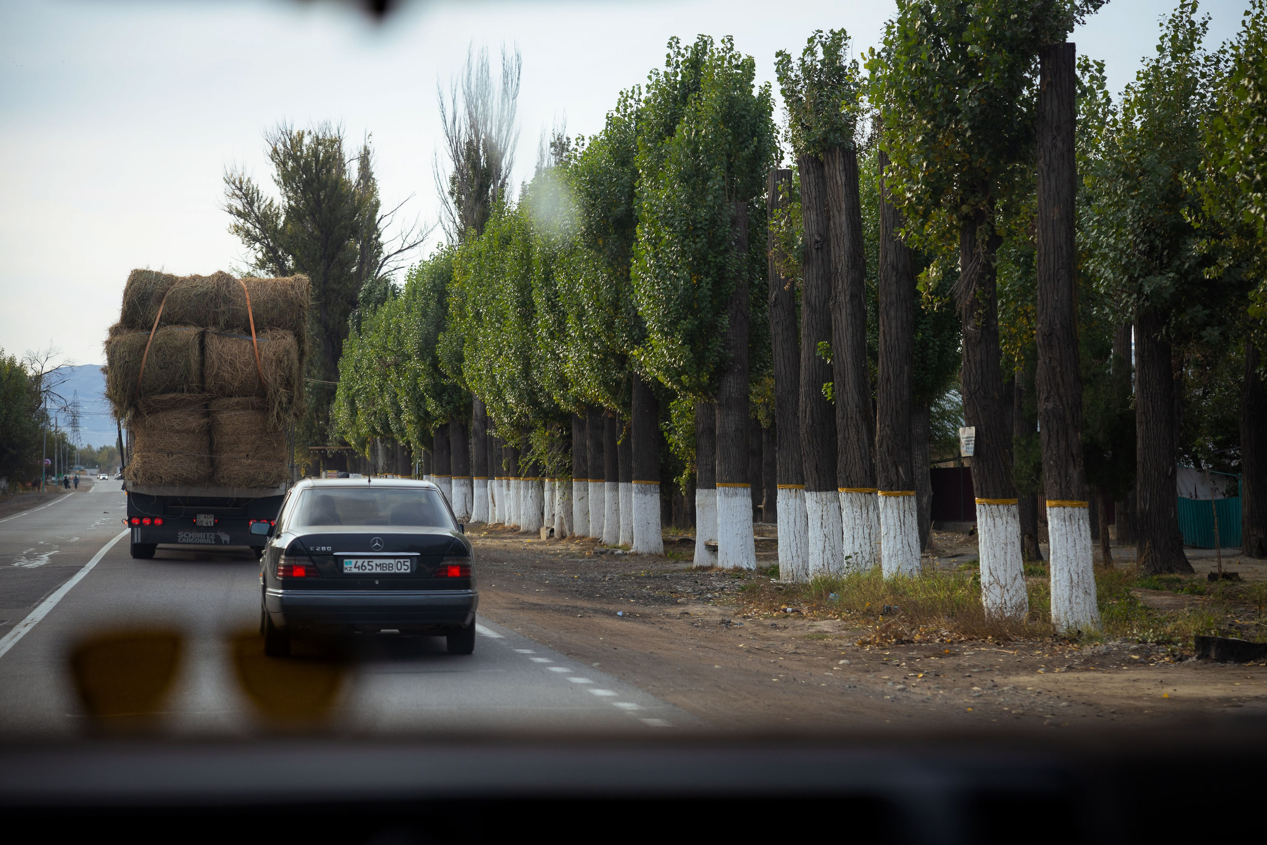 Казахстан (осень 2024). Фотограф Виноградов Константин