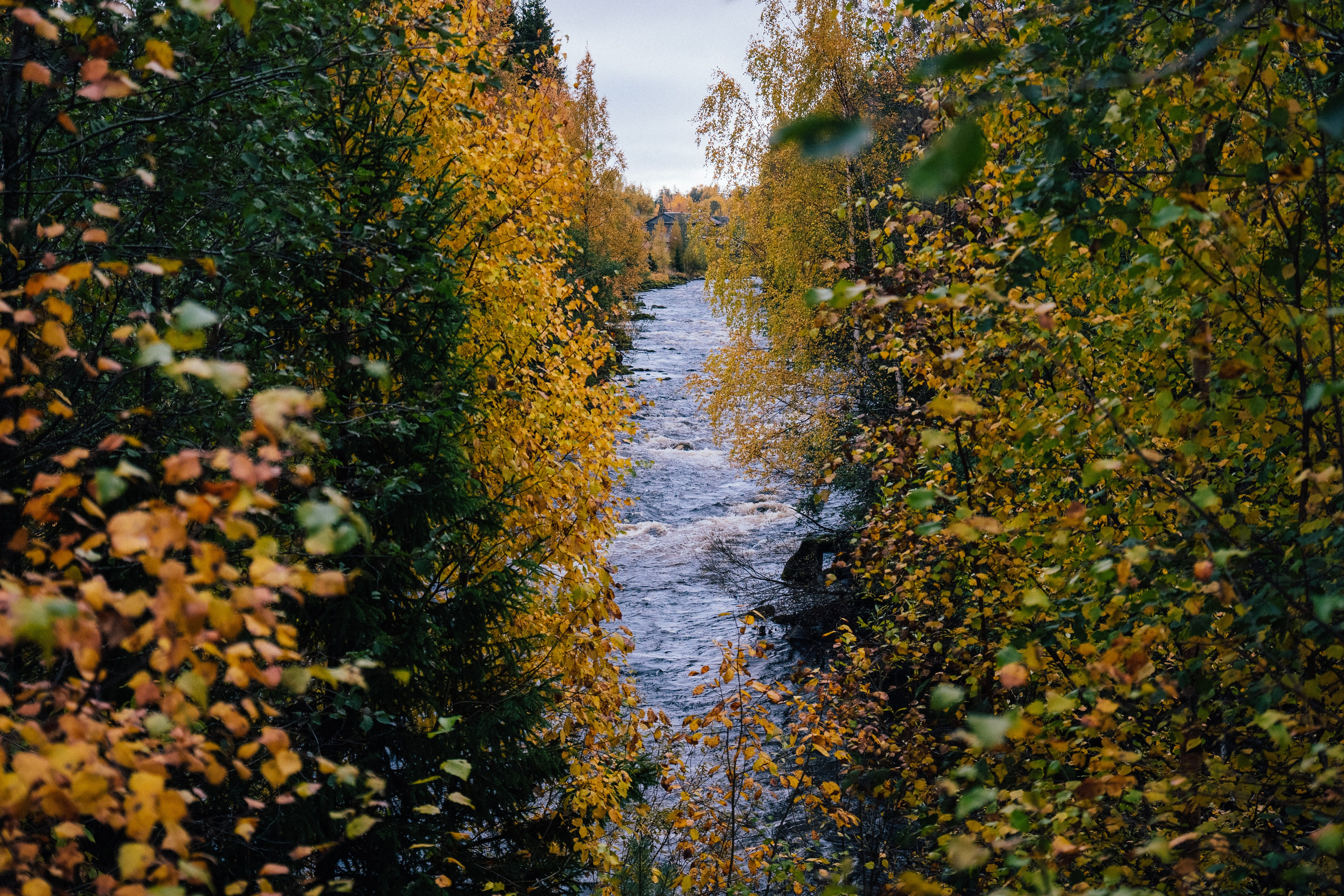 КАРЕЛИЯ / ОСЕНЬ. Создание контента | Фото | Видеосъемка | Александр Ярков