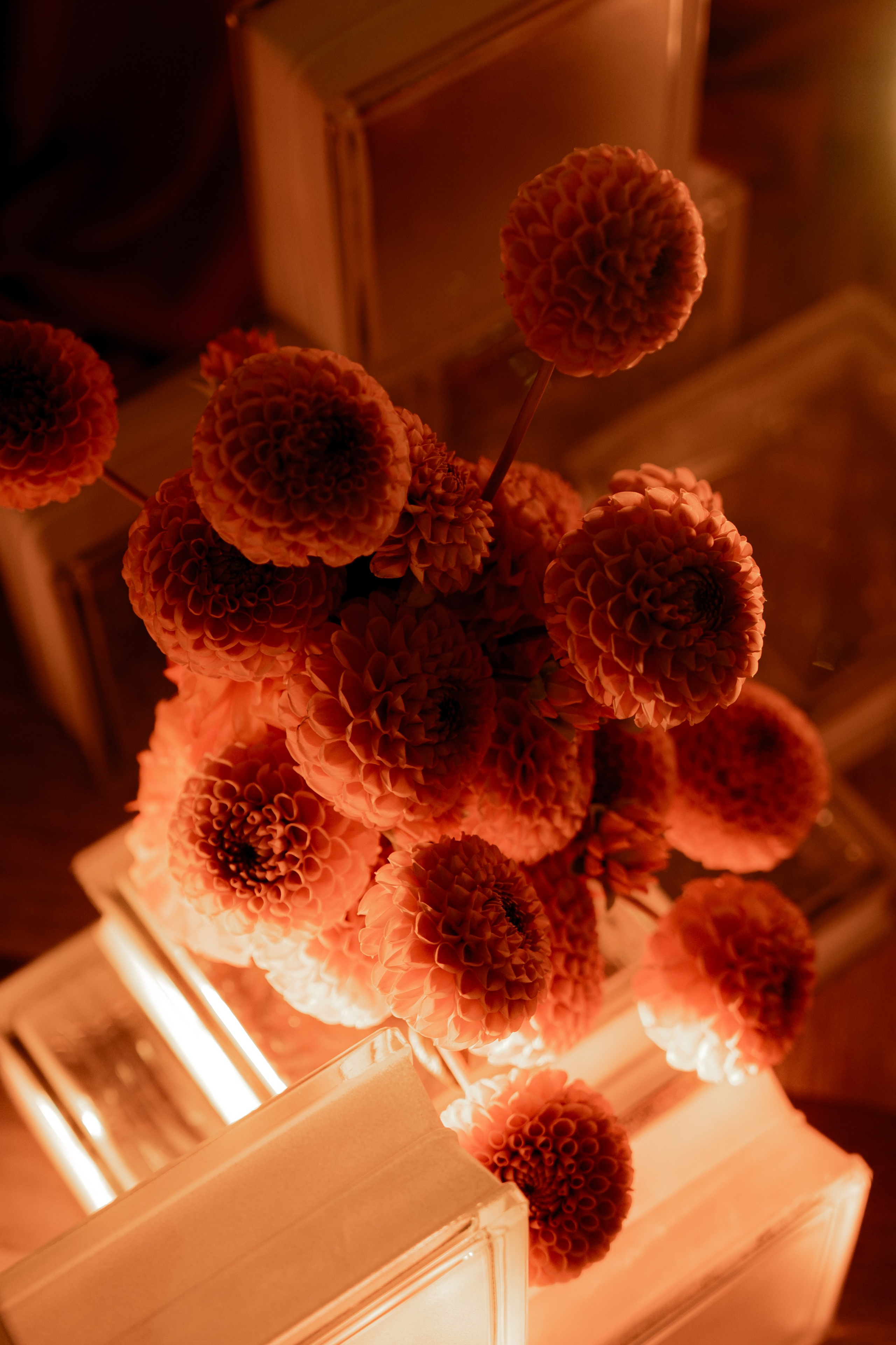 Гермес. Orange. Семейный и портретный фотограф в Саратове Сахарова Маша