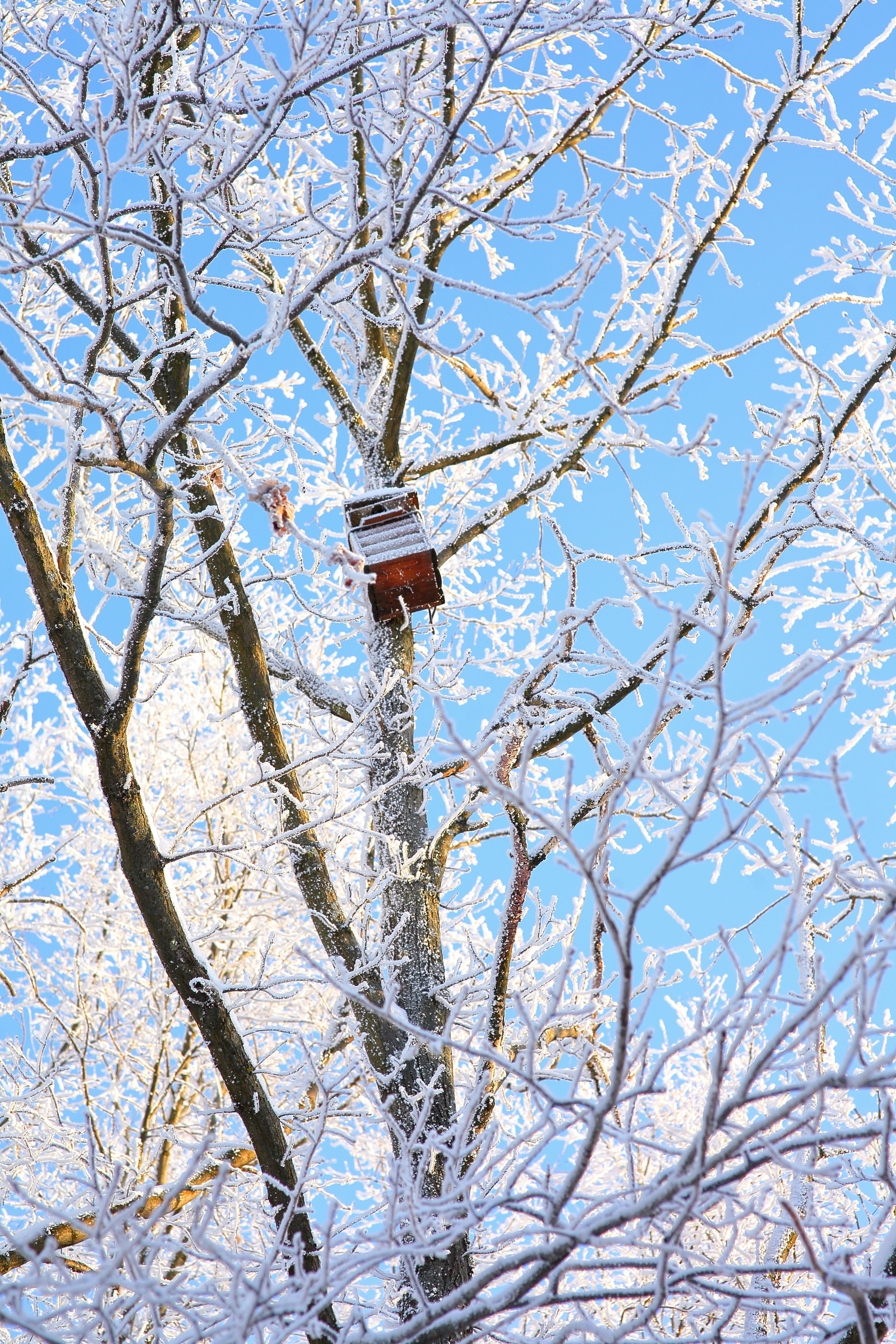 Средняя полоса. Свадебный и репортажный фотограф в Ярославле и Санкт-Петербурге Роман Микрюков