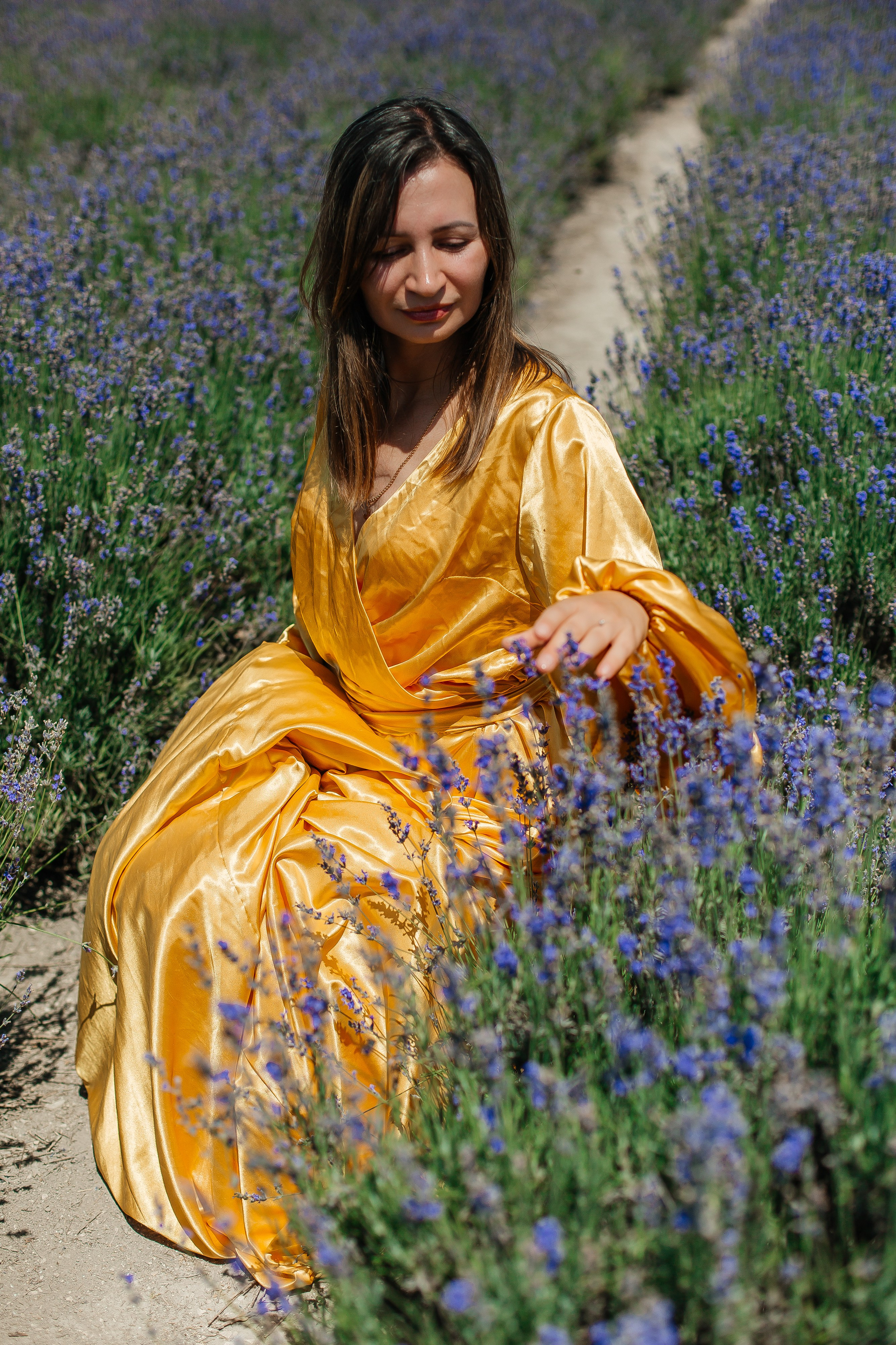 Лавандовые поля