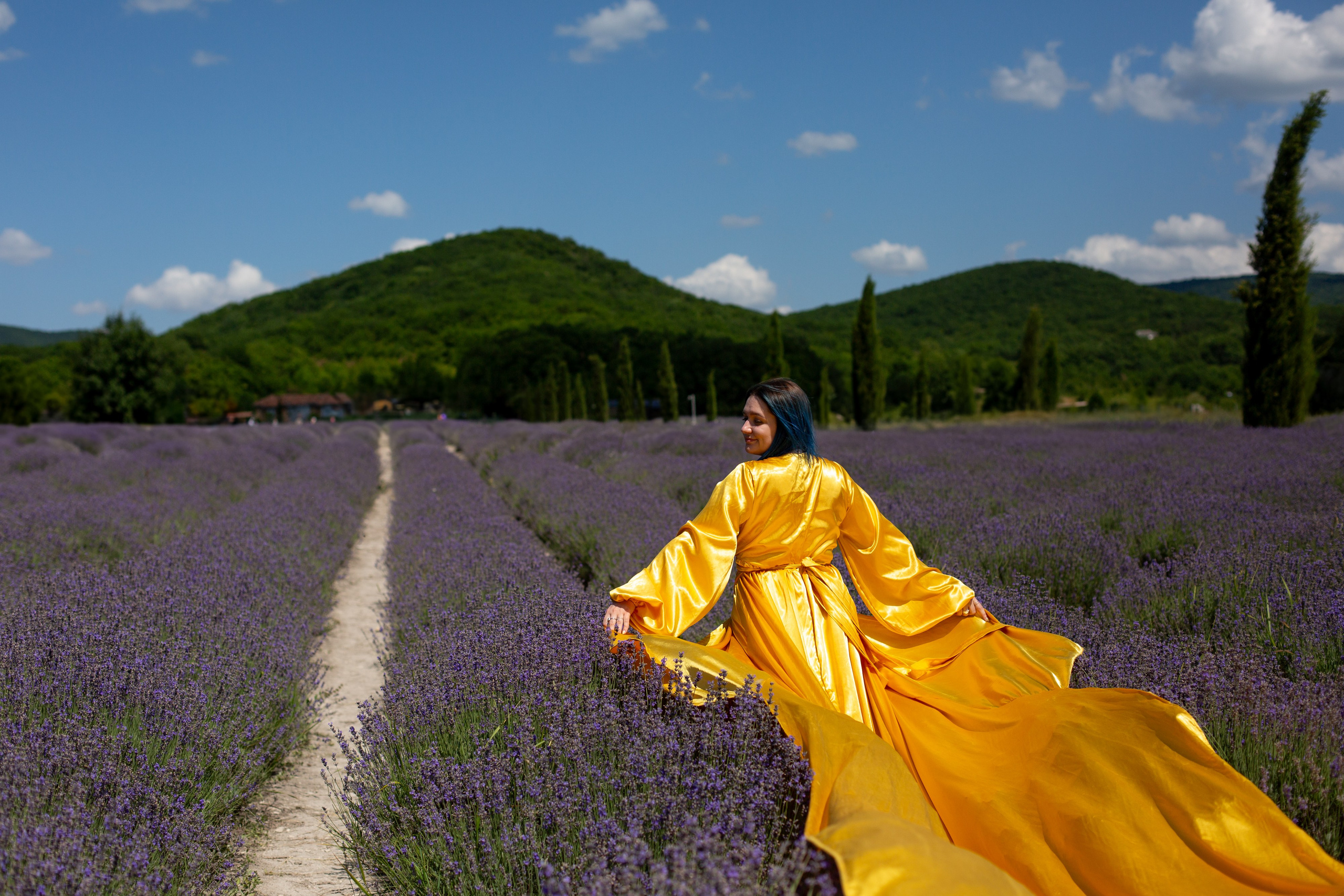 Лавандовые поля