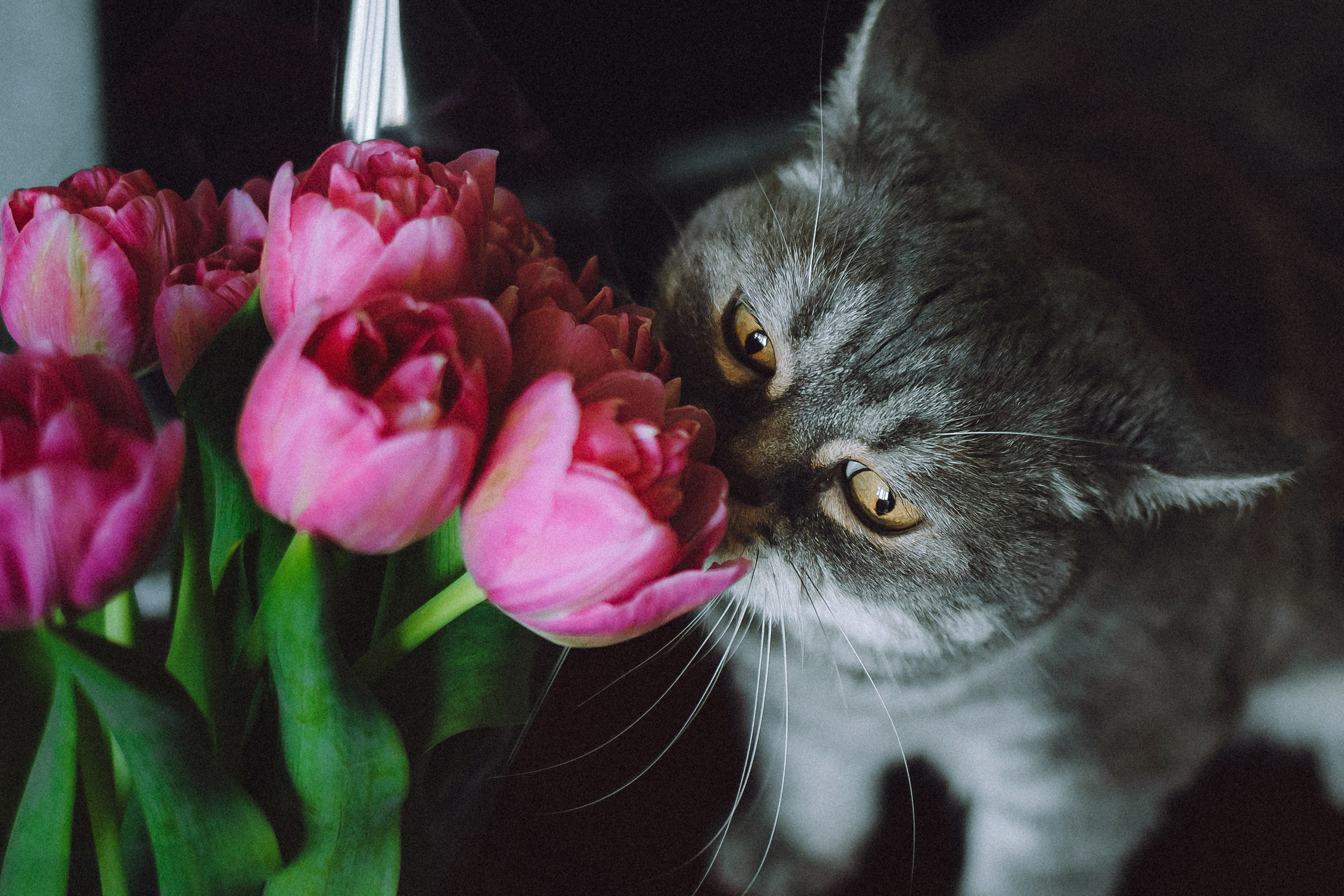 Яся и ее семья