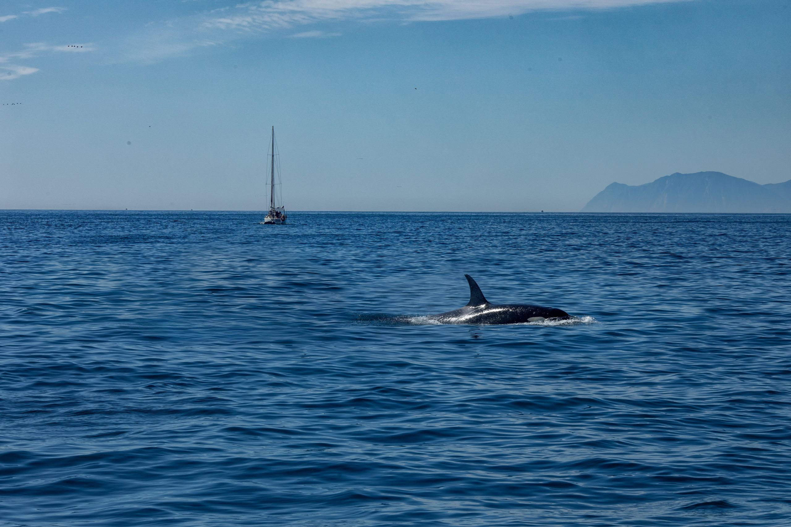 Пейзаж. Фотограф Наталья Туева FineArt съёмка