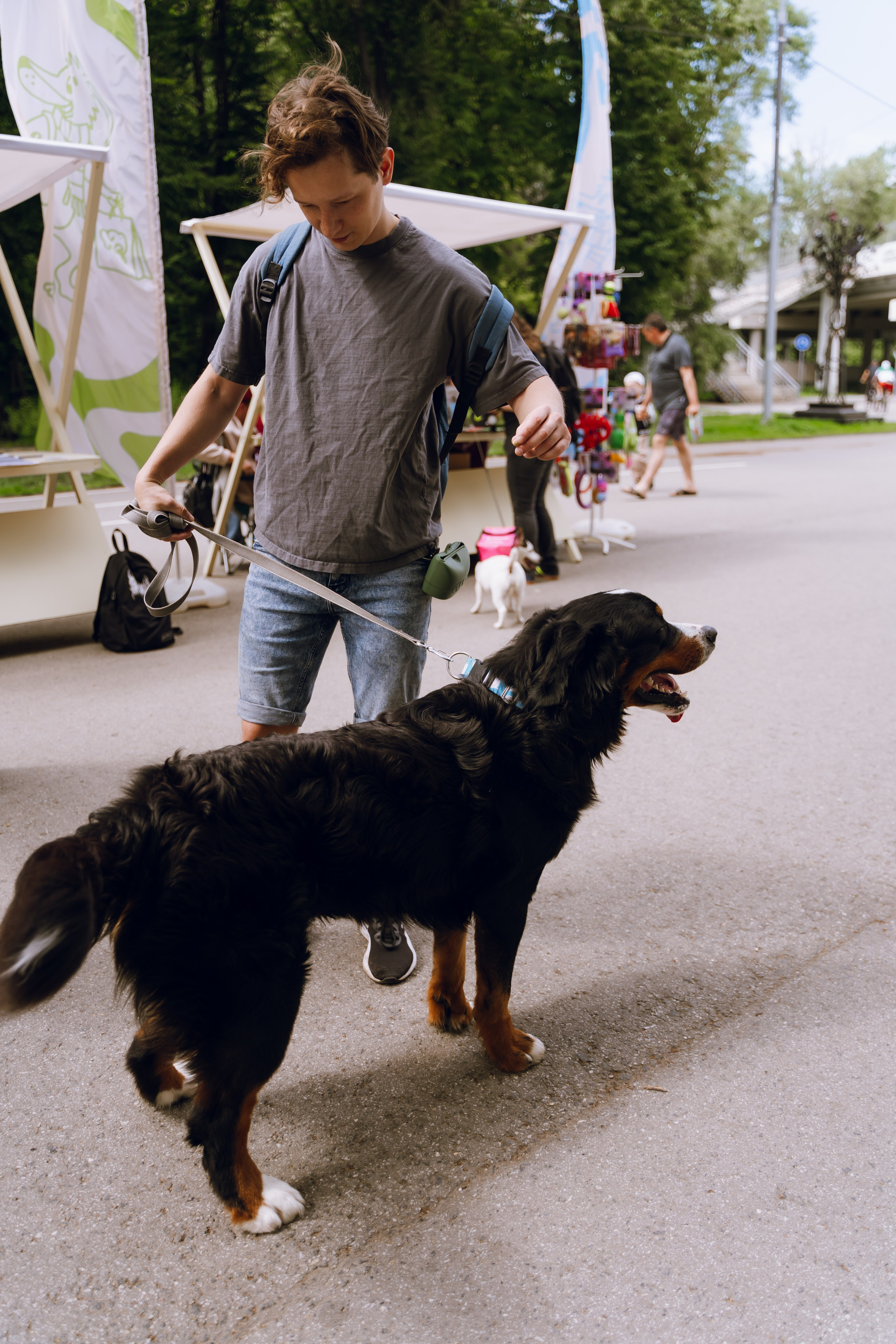 Площадка фестиваля «Мампус и его друзья» в Лесопарке 2025. Фотограф Надежда Погребняк | Рязань | Москва