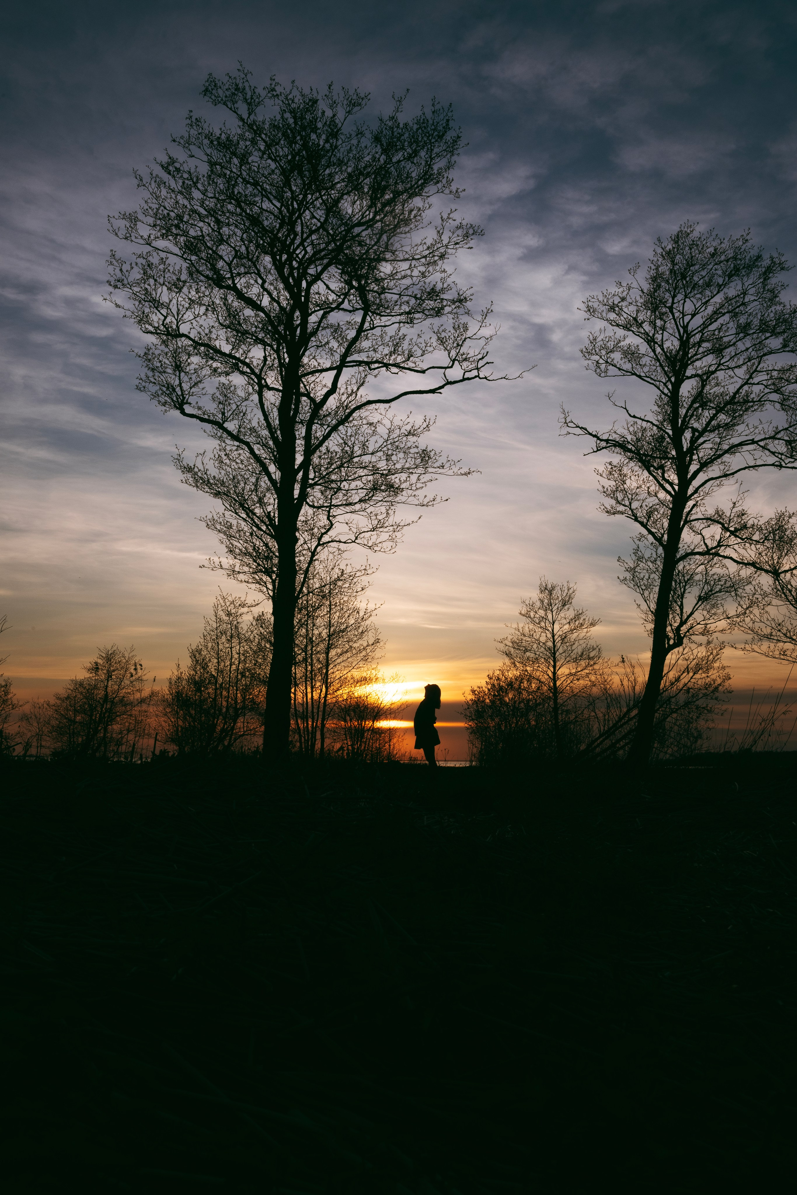 Насто. Главная