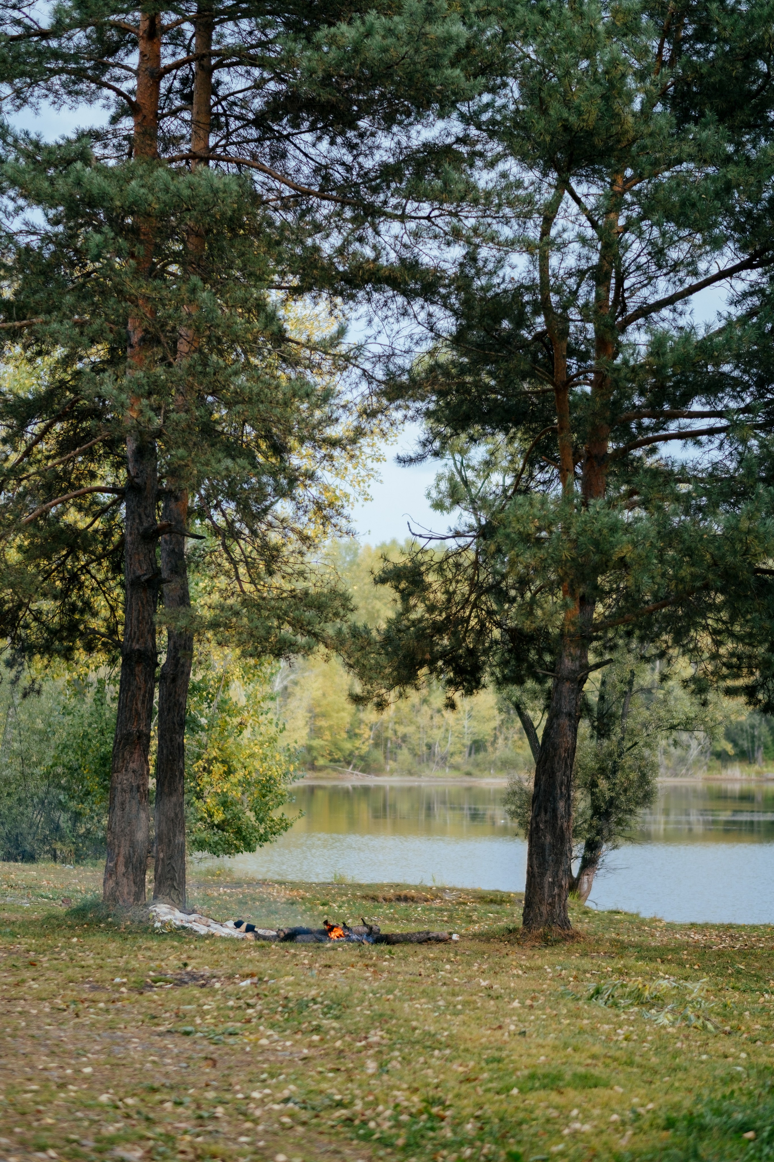 Осенний пикник. Свадебный Видеограф Фотограф в Сочи