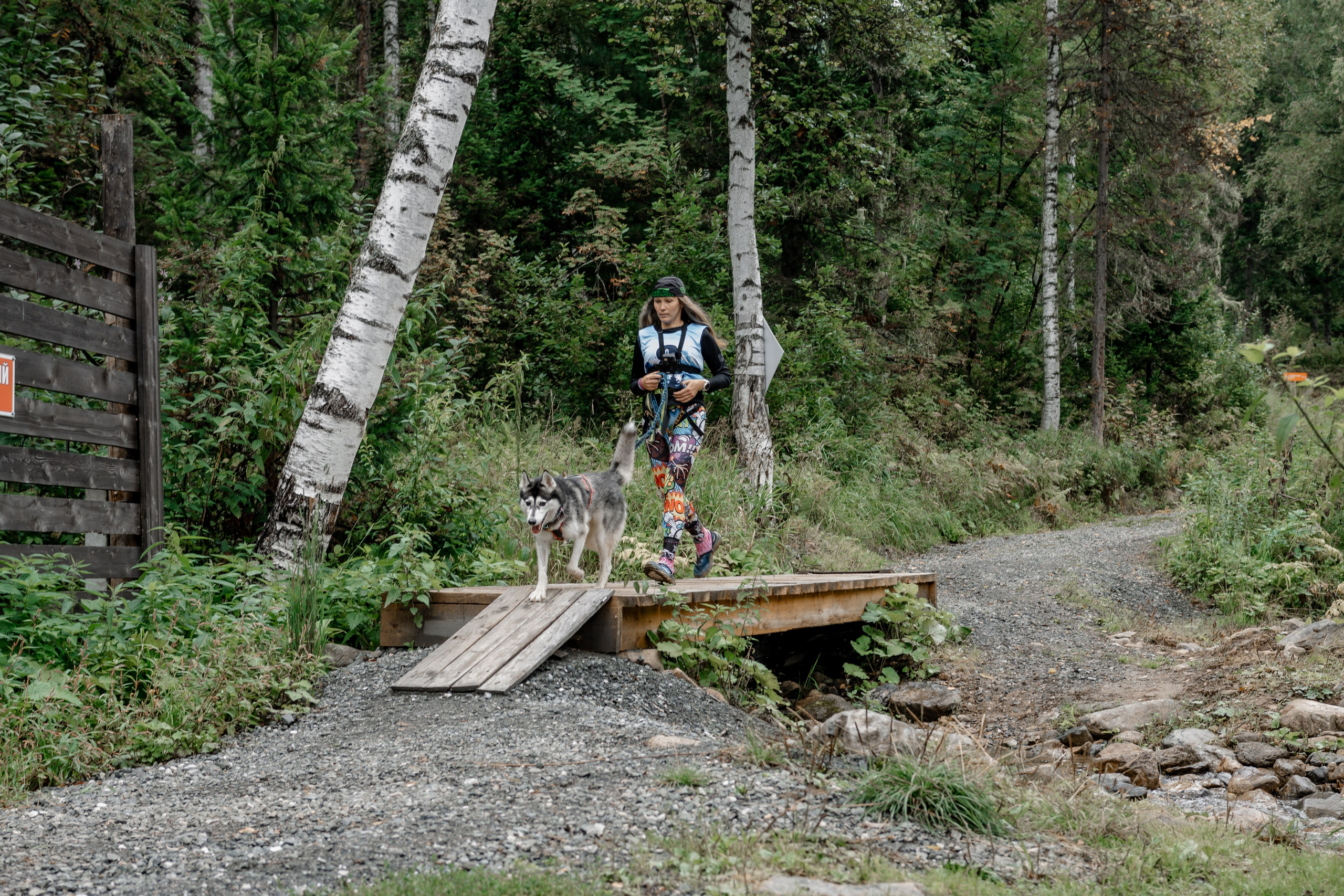 Дог-треккинг