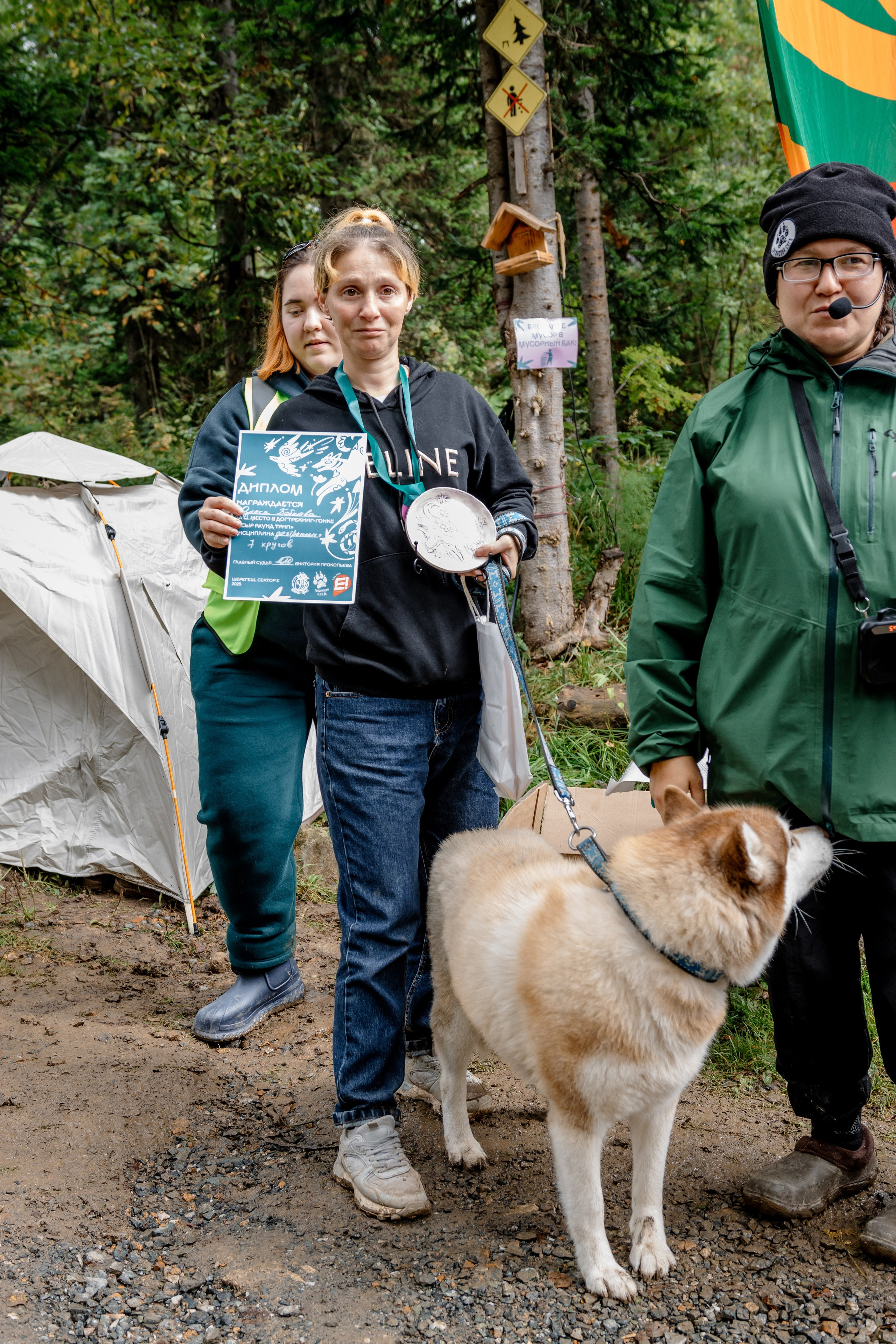 Дог-треккинг