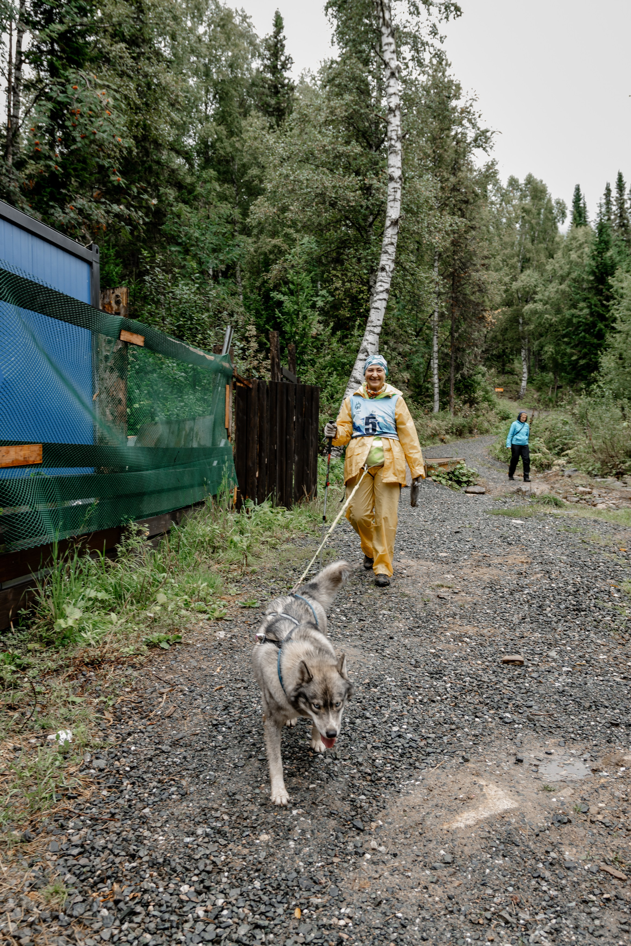 Дог-треккинг