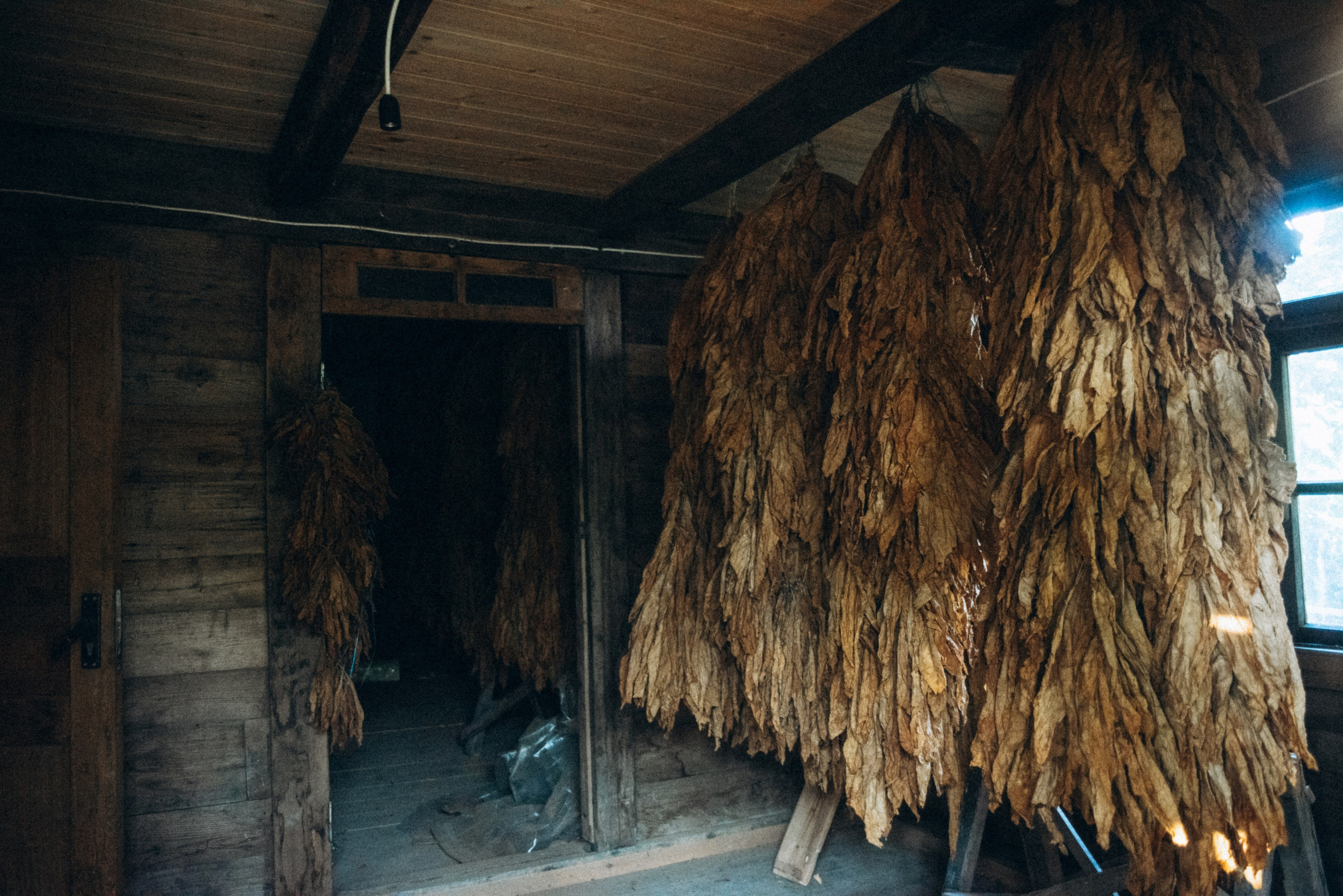 Верхняя Аджария, Грузия 🇬🇪. Anita_photo