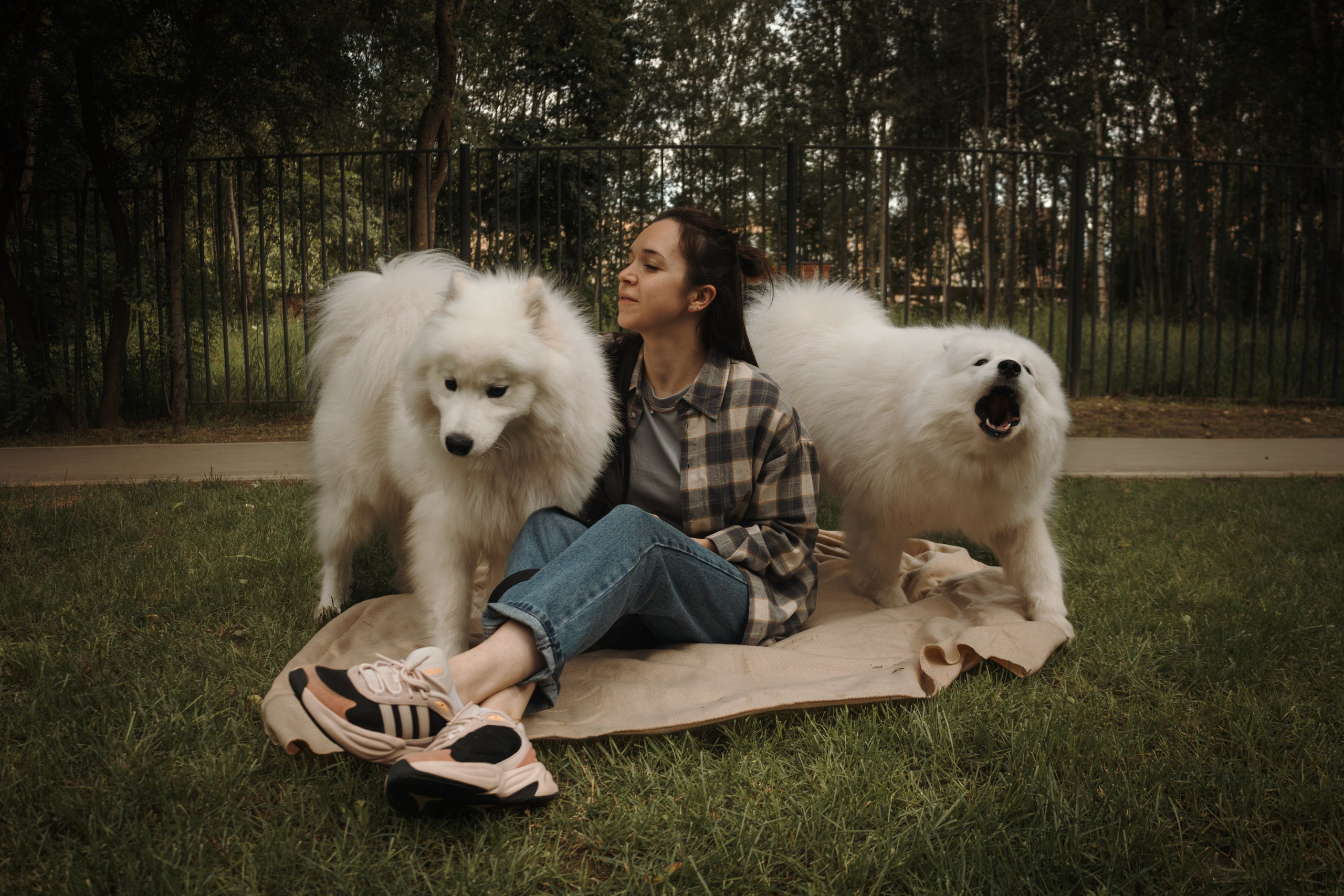 Фотосессия девушки с 2 собаками самоедами в лесопарке. Фотограф-анималист в Москве Екатерина Тихонова
