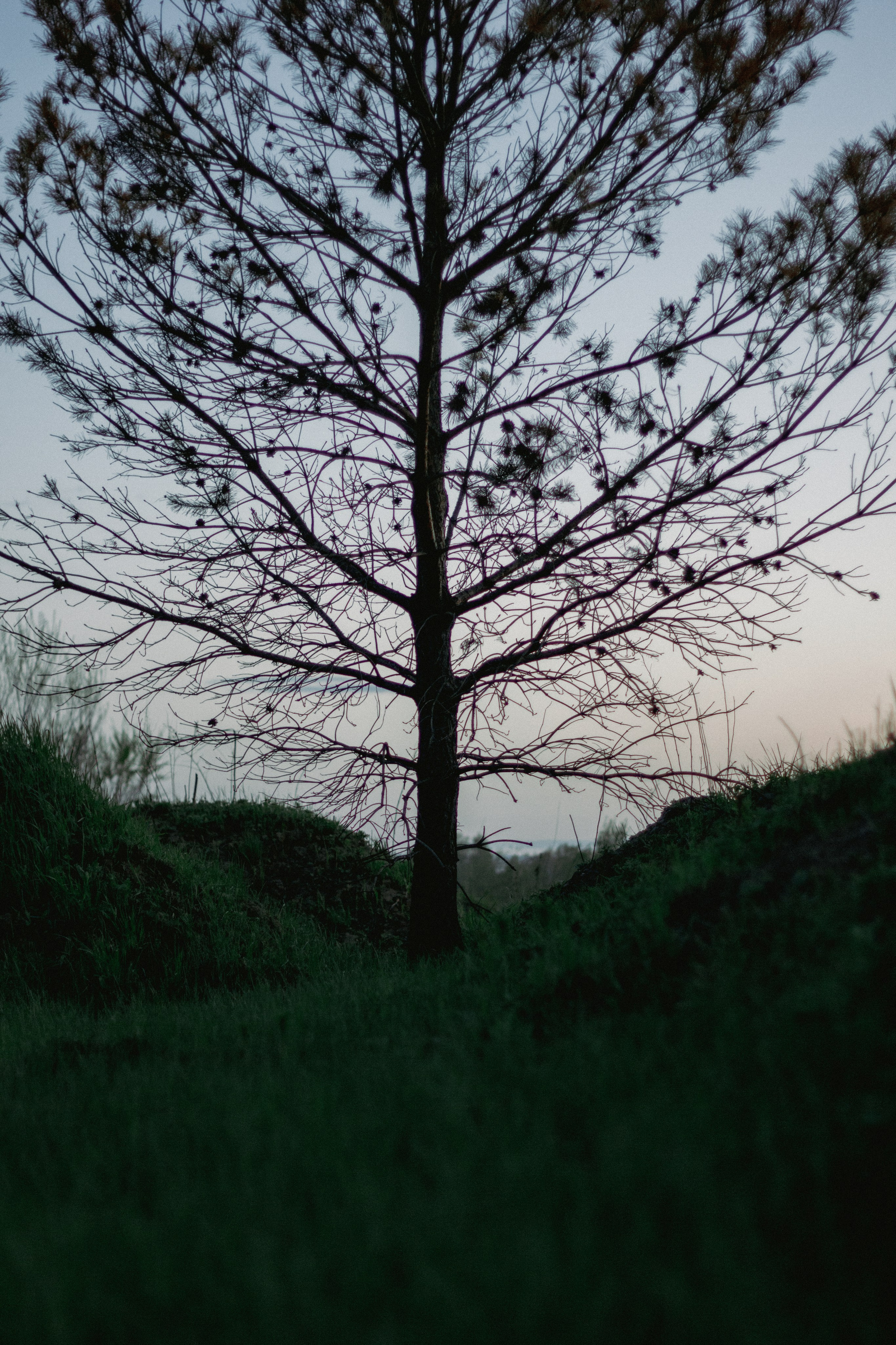 15.05.2025 | Сосновоборск. Kuznetsov | Фотограф в Красноярске