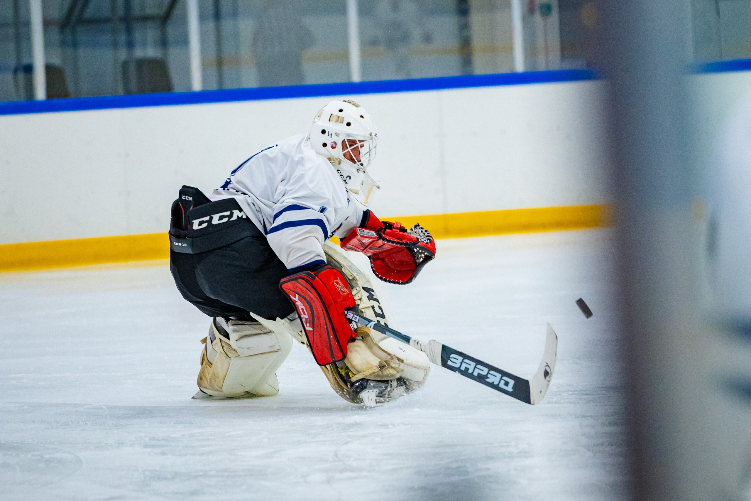 ХК Распадские Барсы. Фотограф Князев Сергей