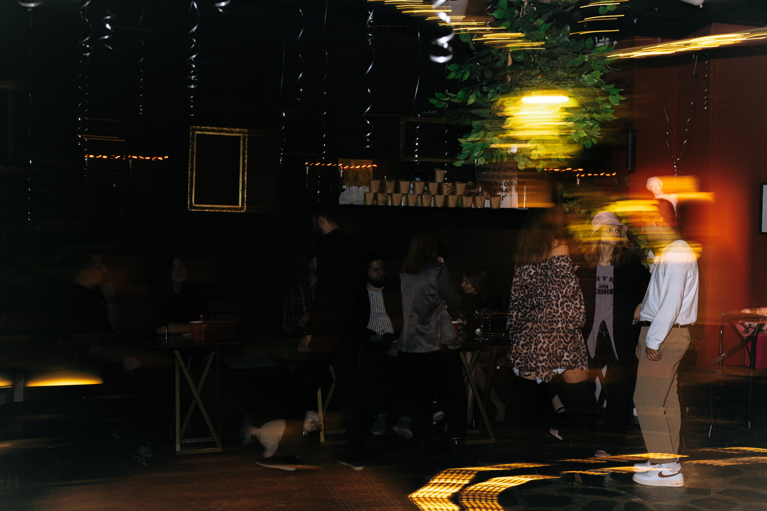 Правда Бар. Свадебный фотограф | Москва