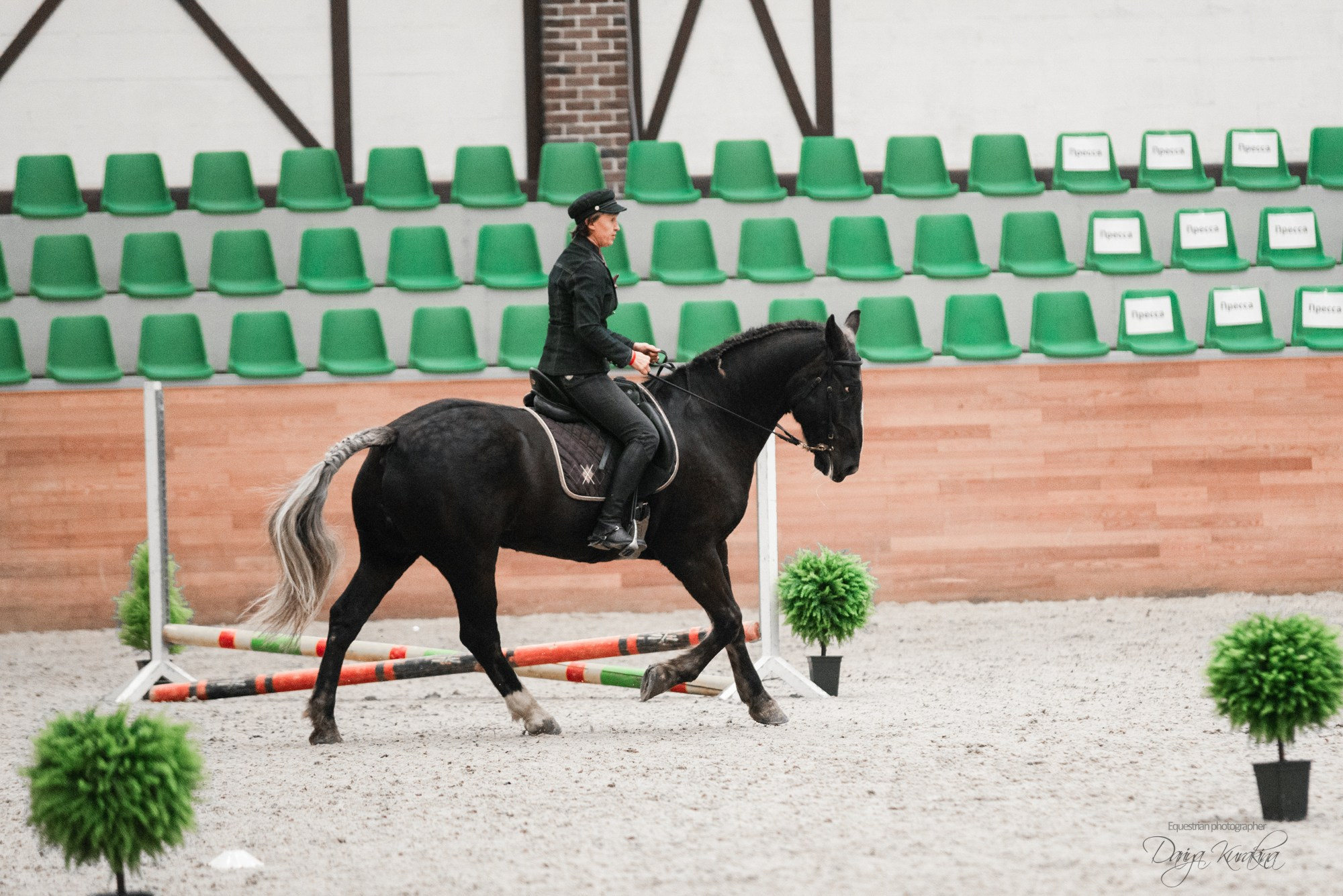 8-я международная выставка Конная Россия. Конный фотограф Куракина Дарья • Фотосессии с лошадьми