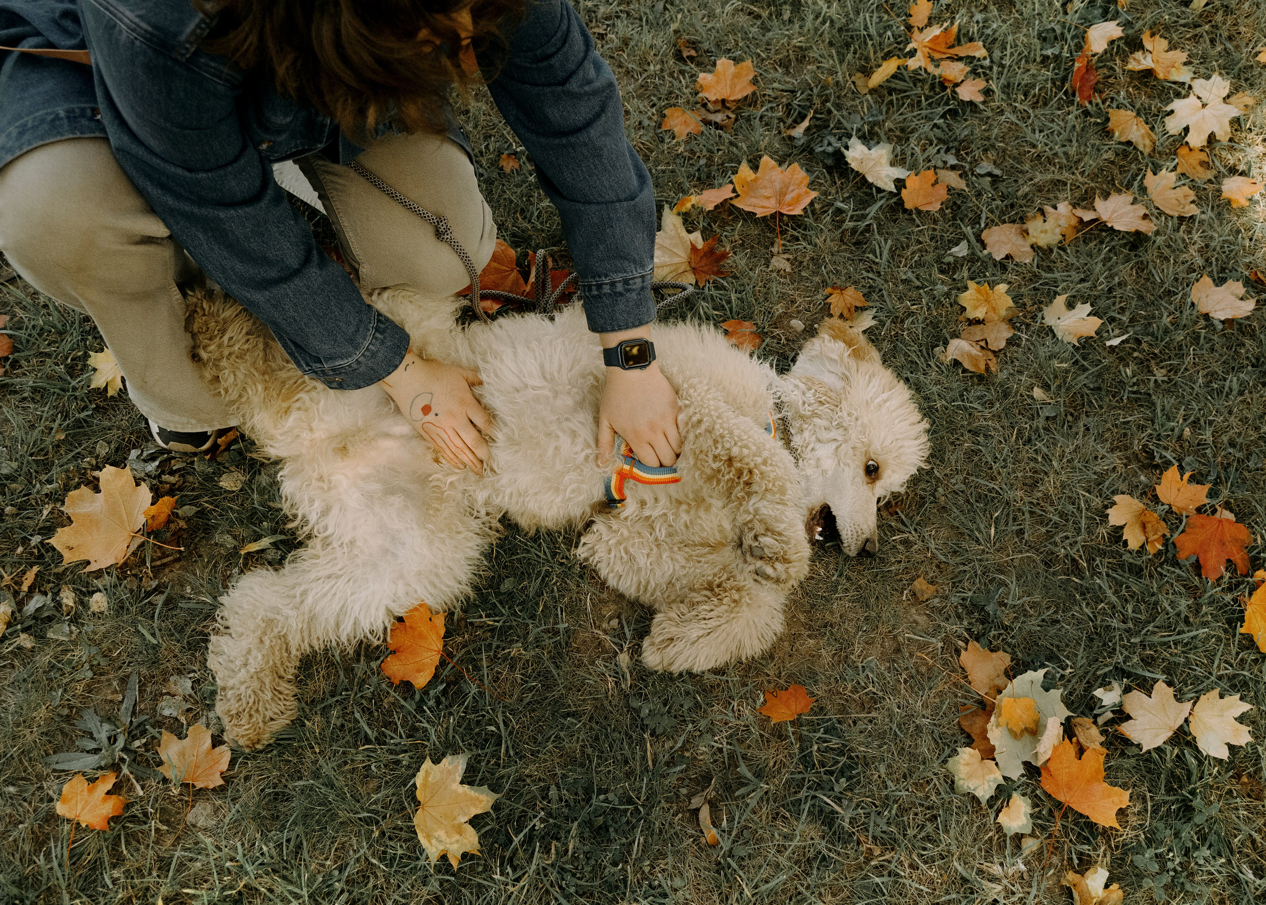 Фотограф- анималист Александра Матвеева