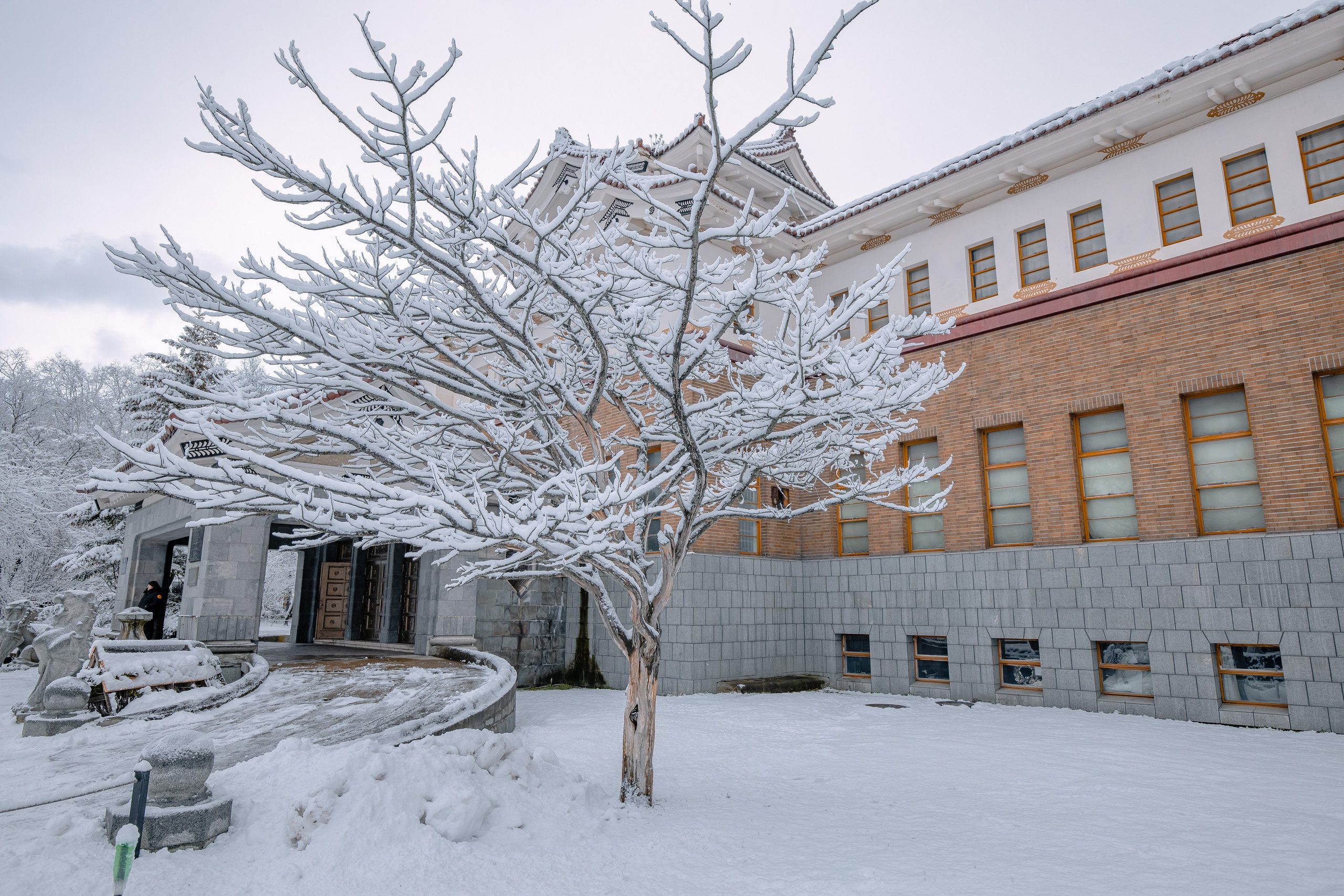 О.Сахалин. Фотограф. г. Южно-Сахалинск. Олег Толстов