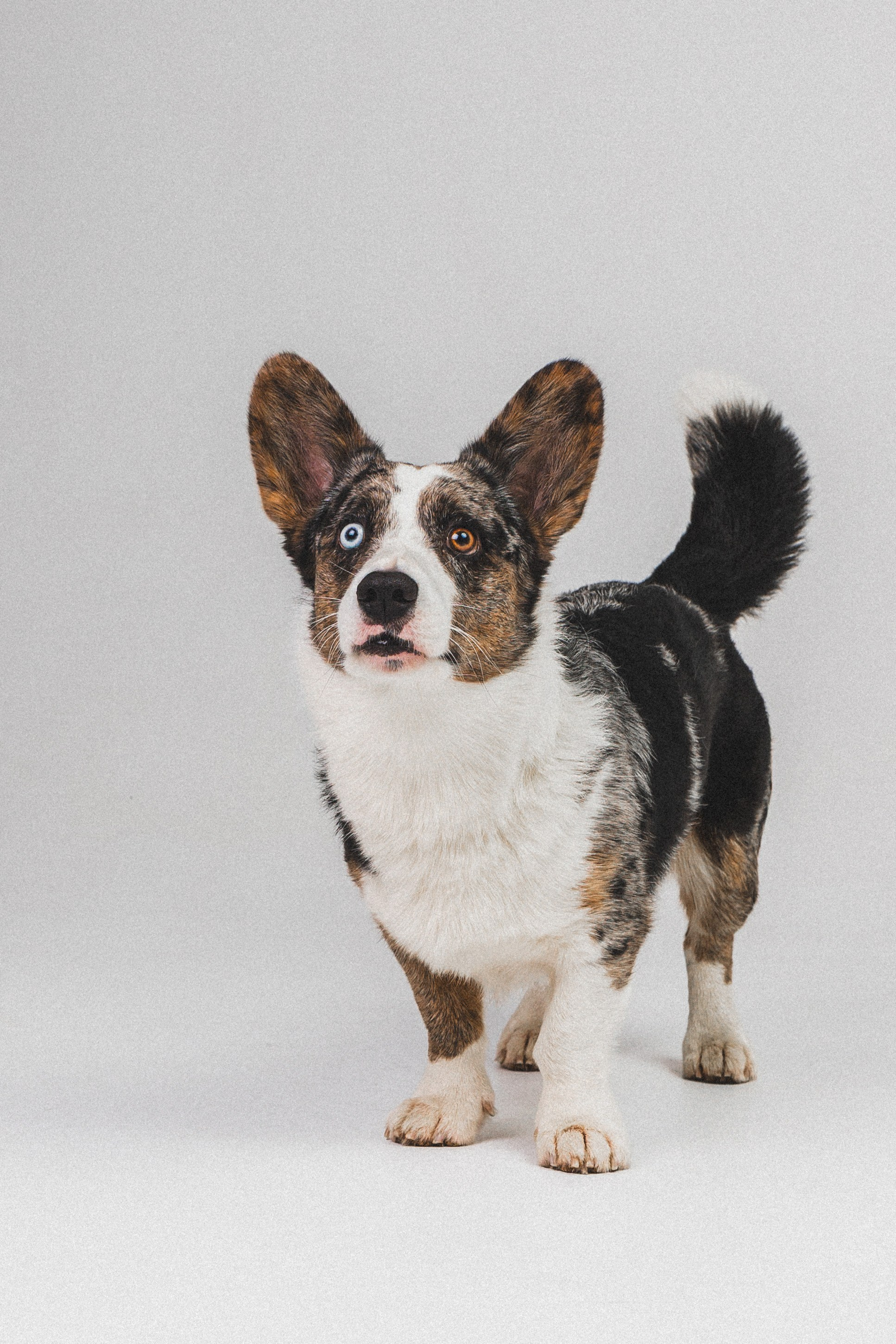 Анатолий и Рагнар