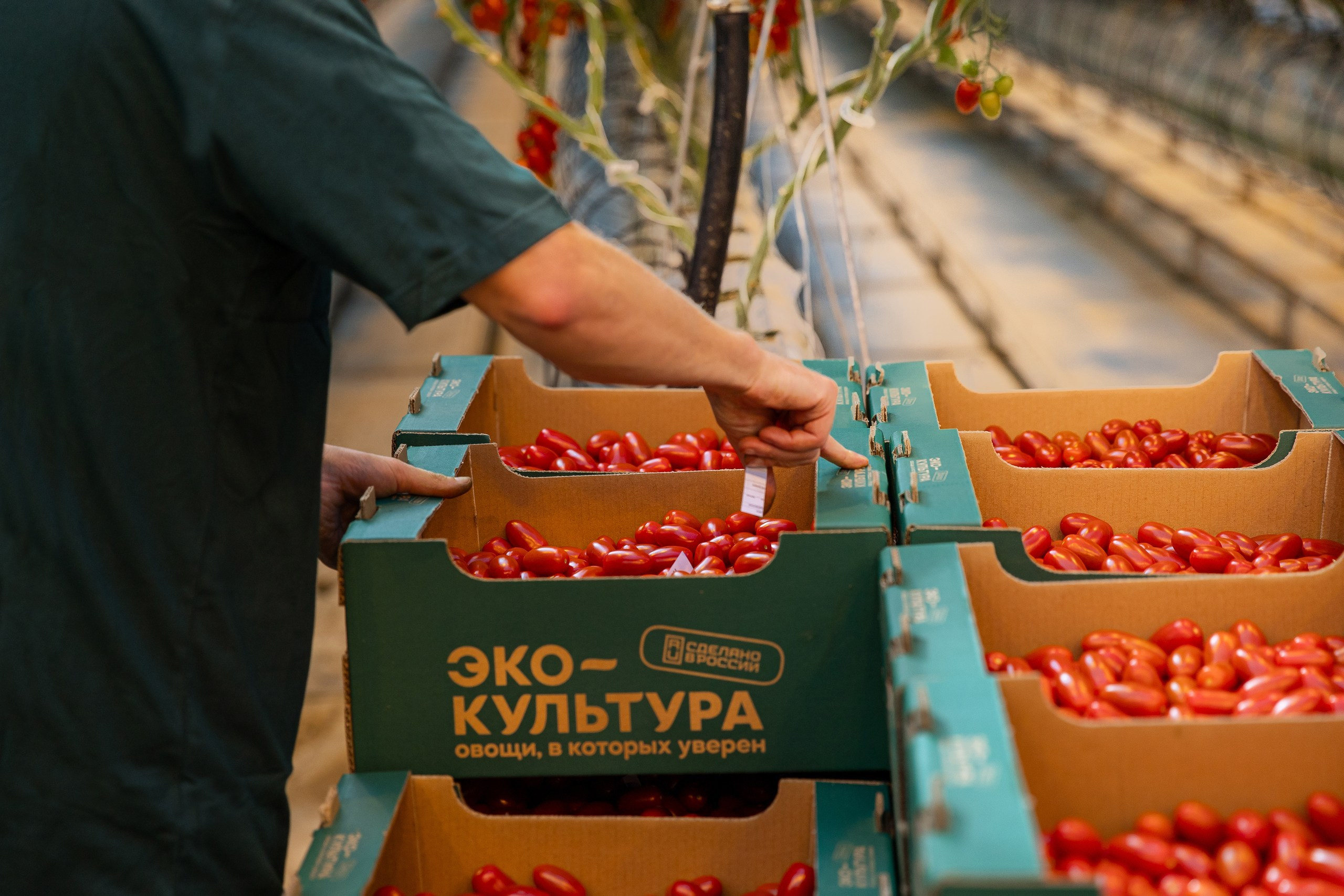 Производство. Фотограф Николай Петрушкин | Ставрополь, Москва