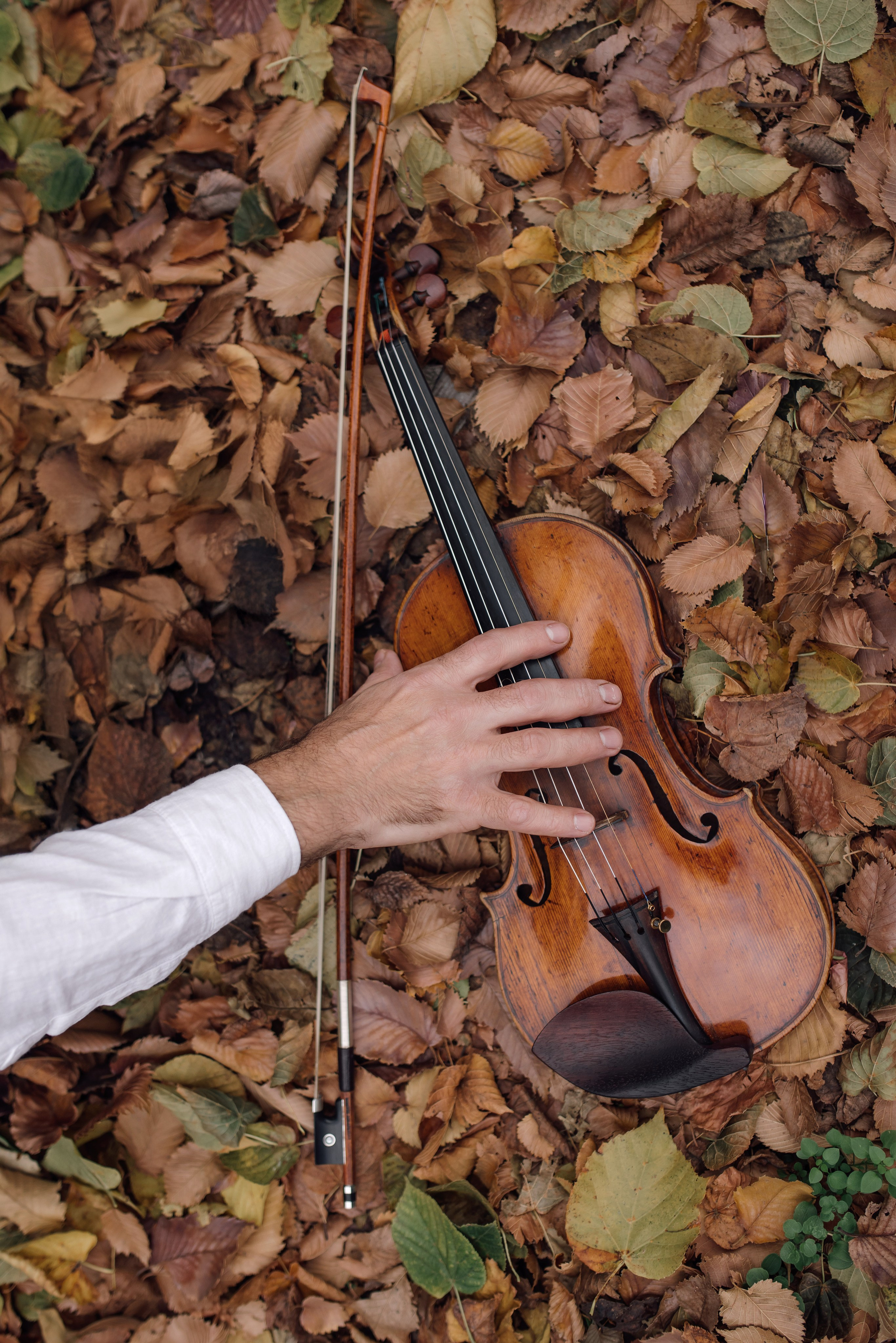 Осень, скрипка, музыка. Фотохудожник Наталия Кирсанова