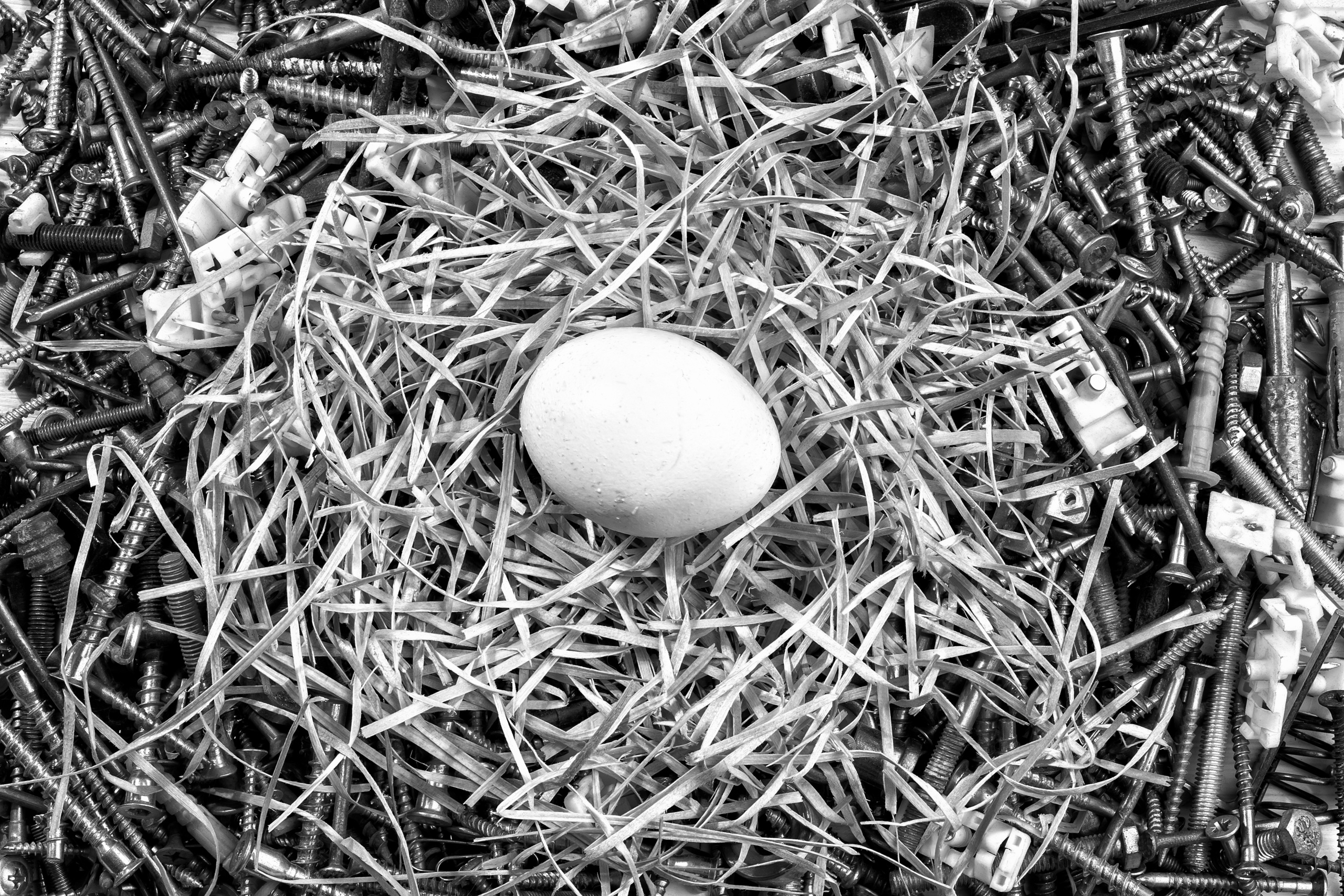 Черно белая фотография. Профессиональный фотограф в Астане