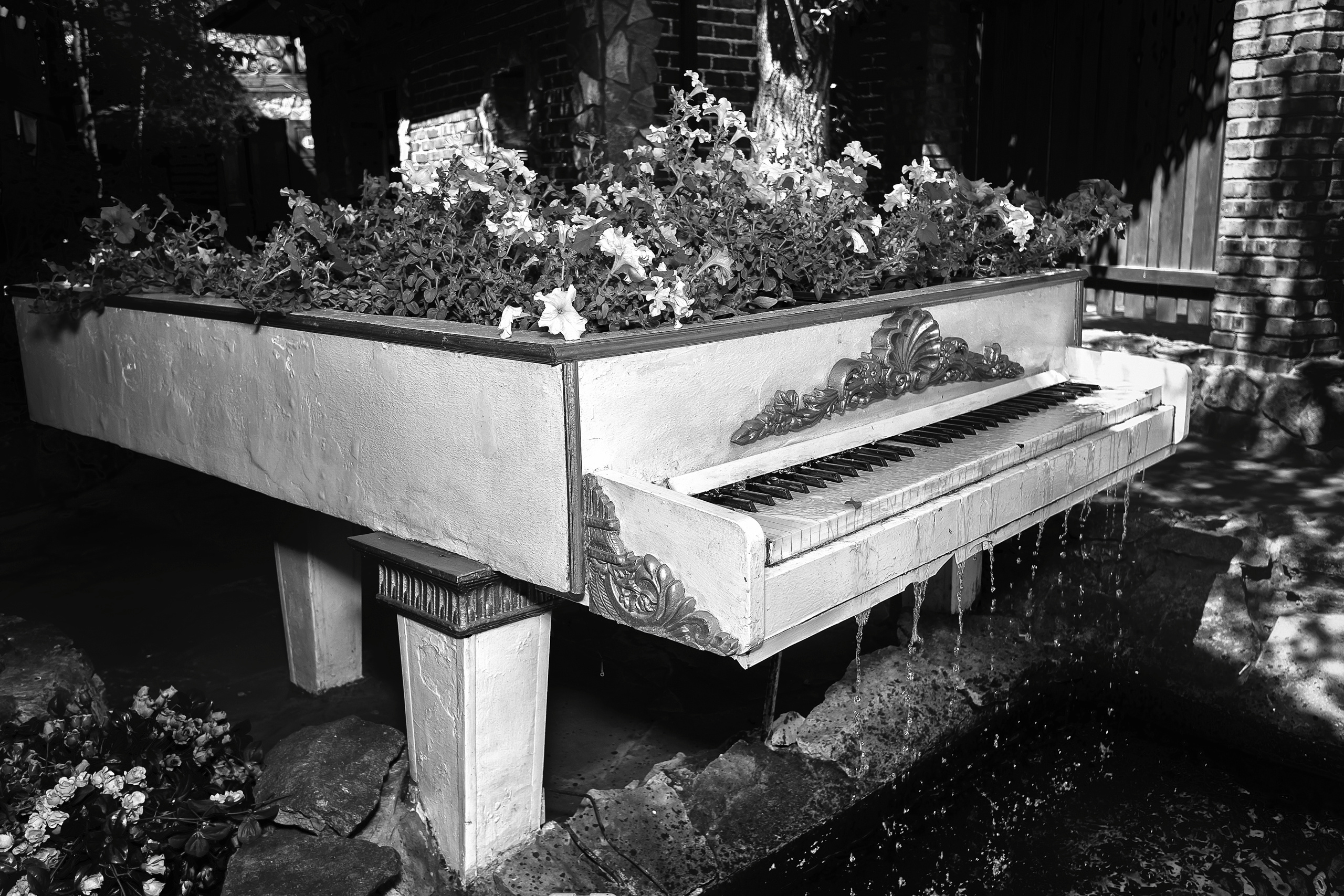 Черно белая фотография. Профессиональный фотограф в Астане