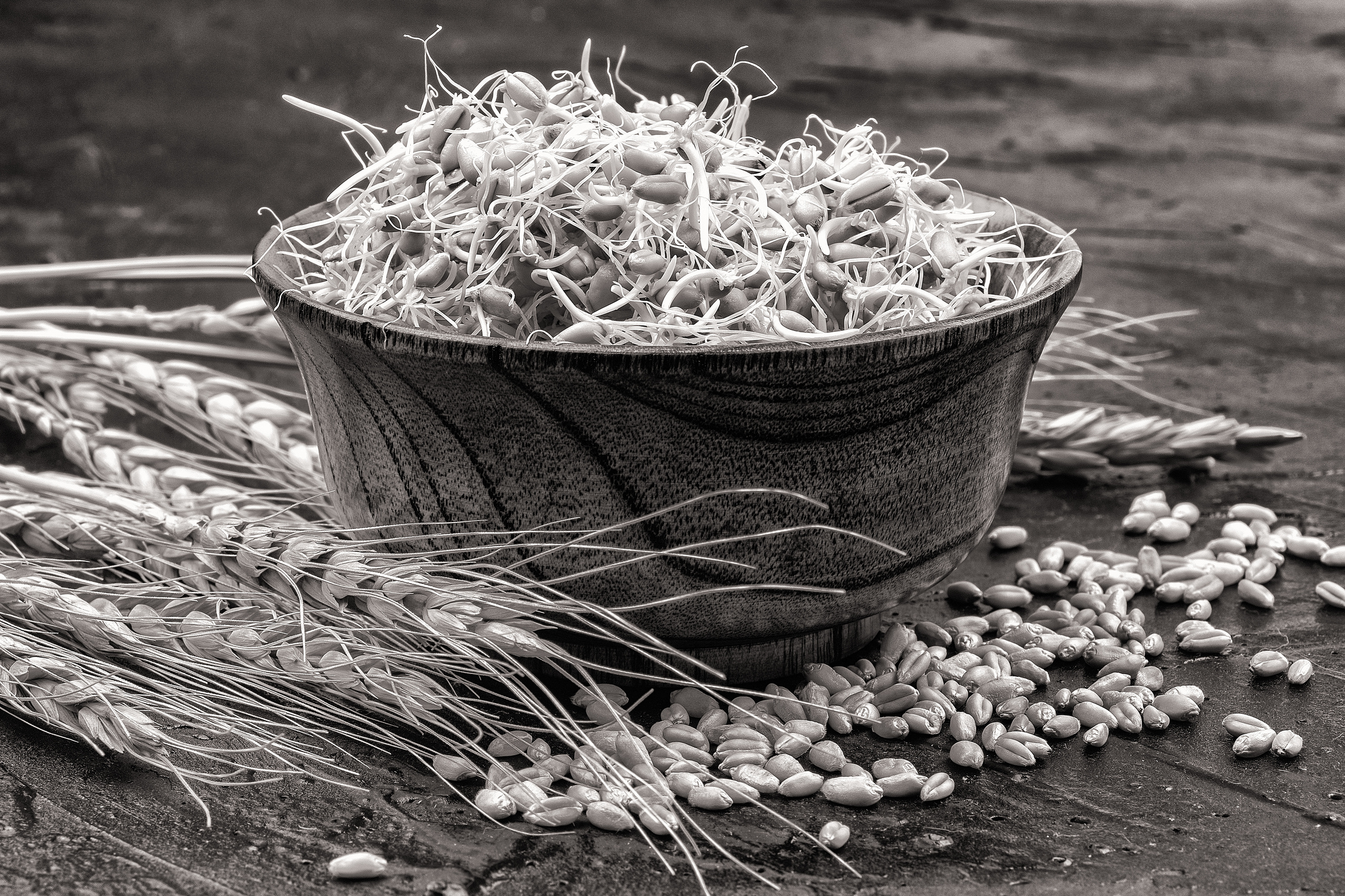 Черно белая фотография. Профессиональный фотограф в Астане