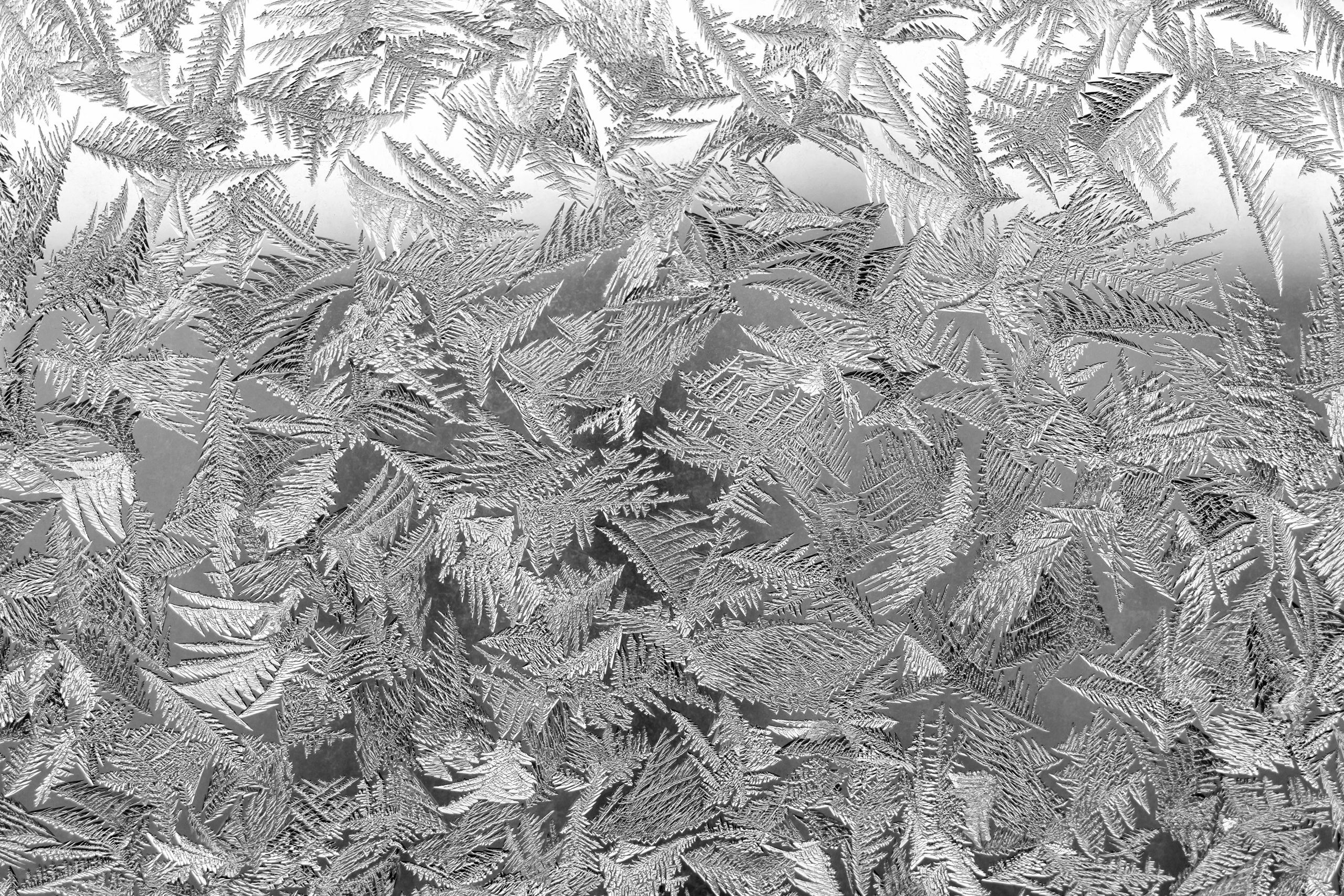 Черно белая фотография. Профессиональный фотограф в Астане