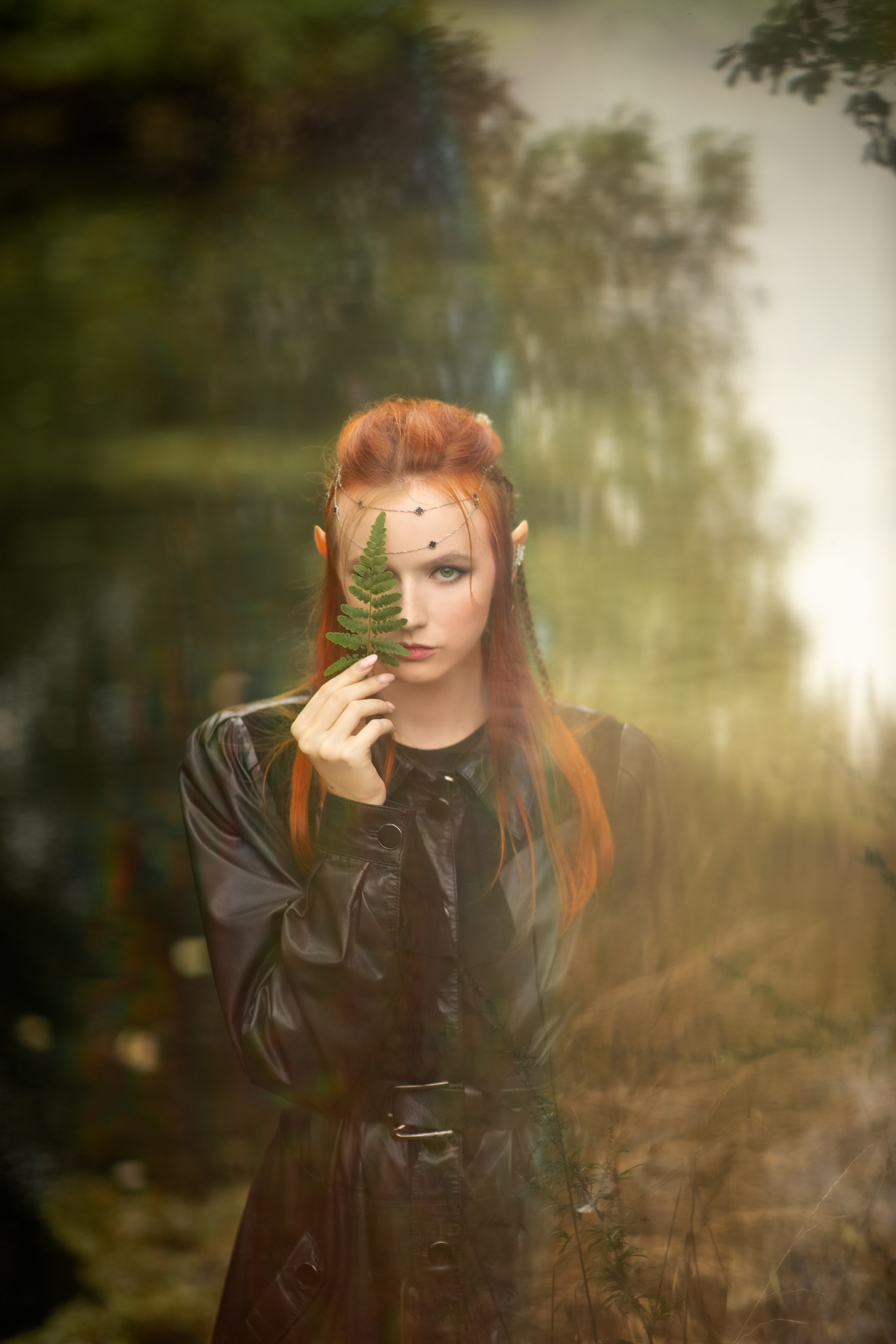 Волшебный лес