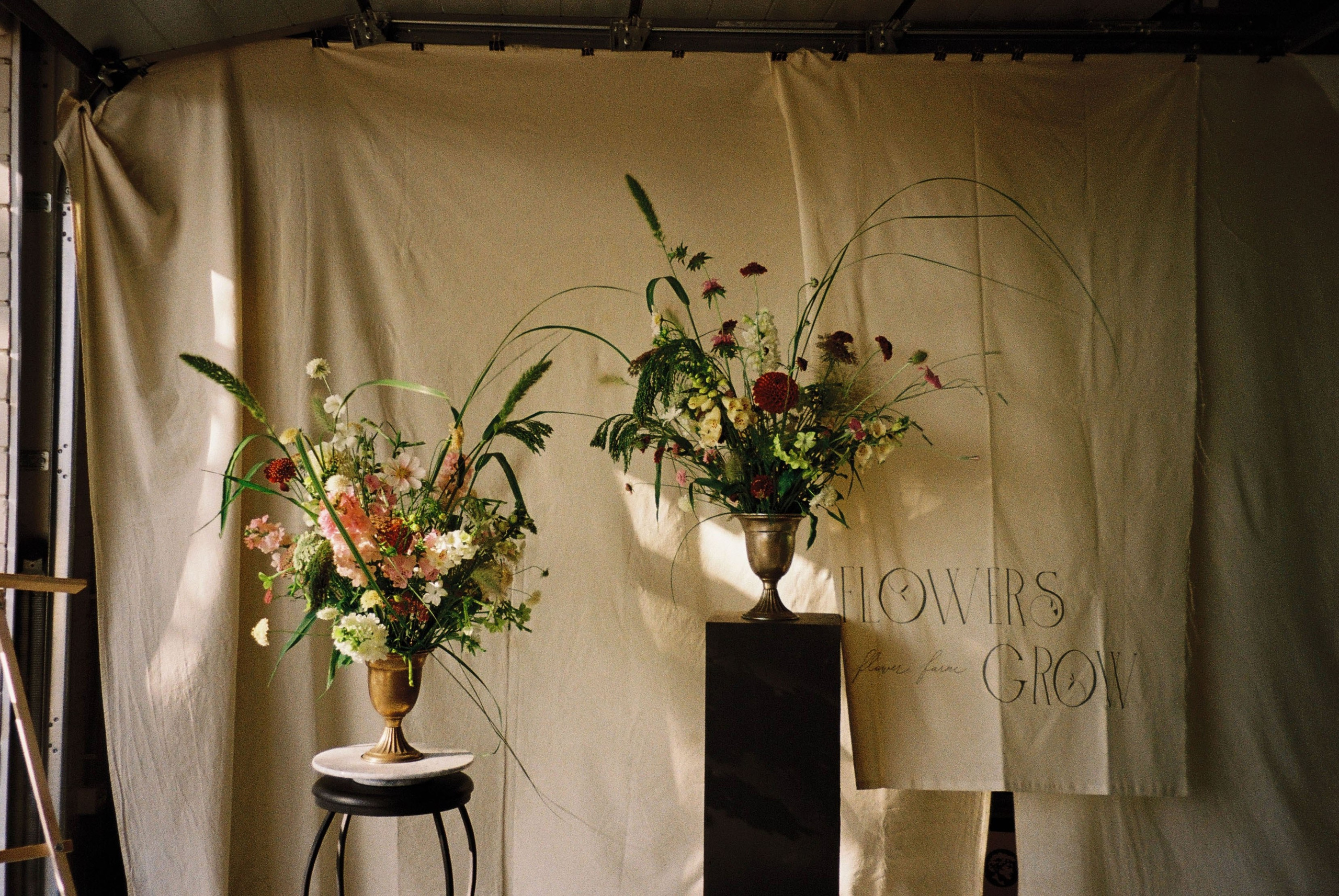 Пленка. Фотограф Ирина Гринько Тольятти Самара Москва