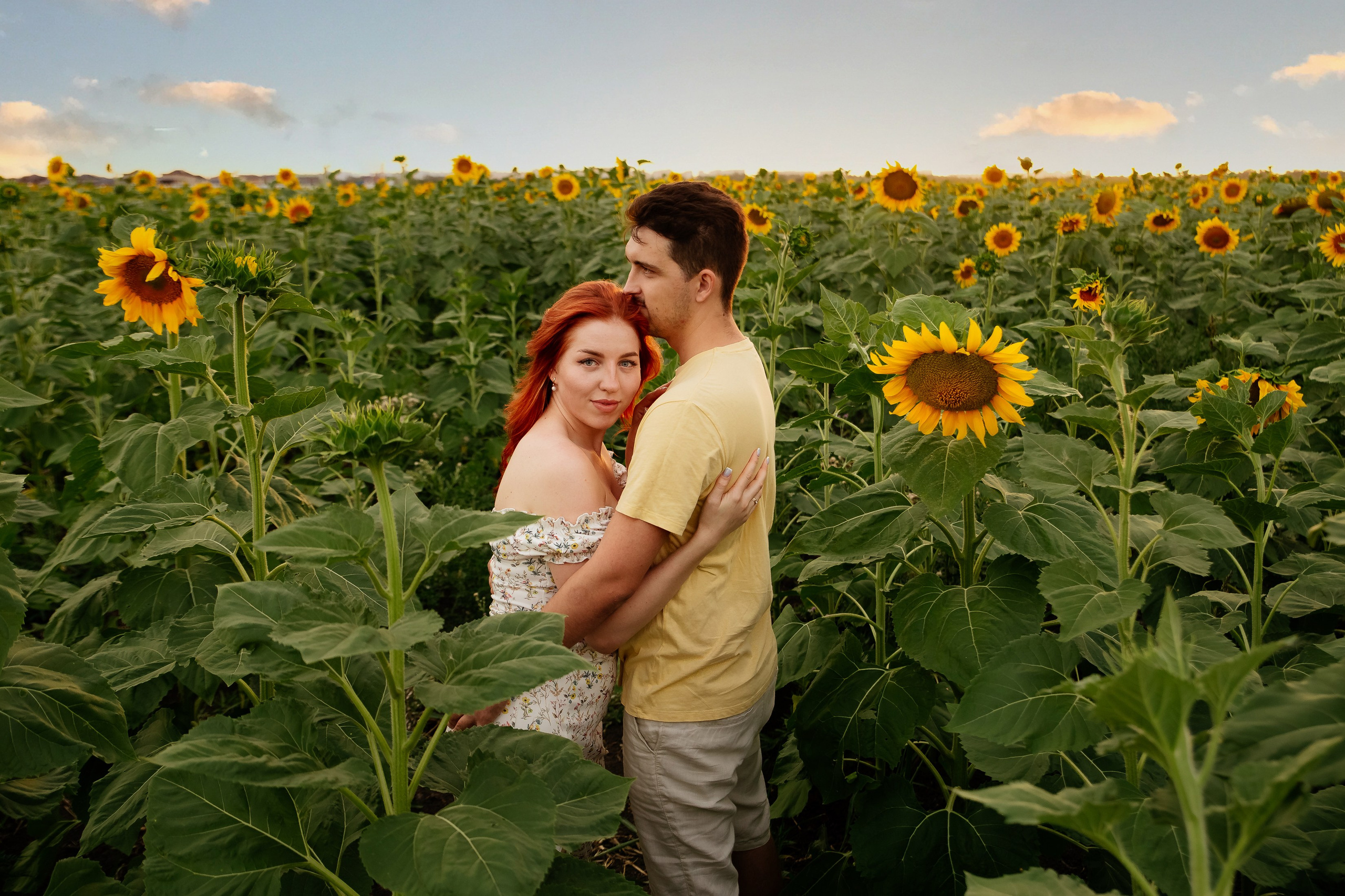Подсолнухи. Свадебный и семейный фотограф в Краснодаре Илонна Ковалева