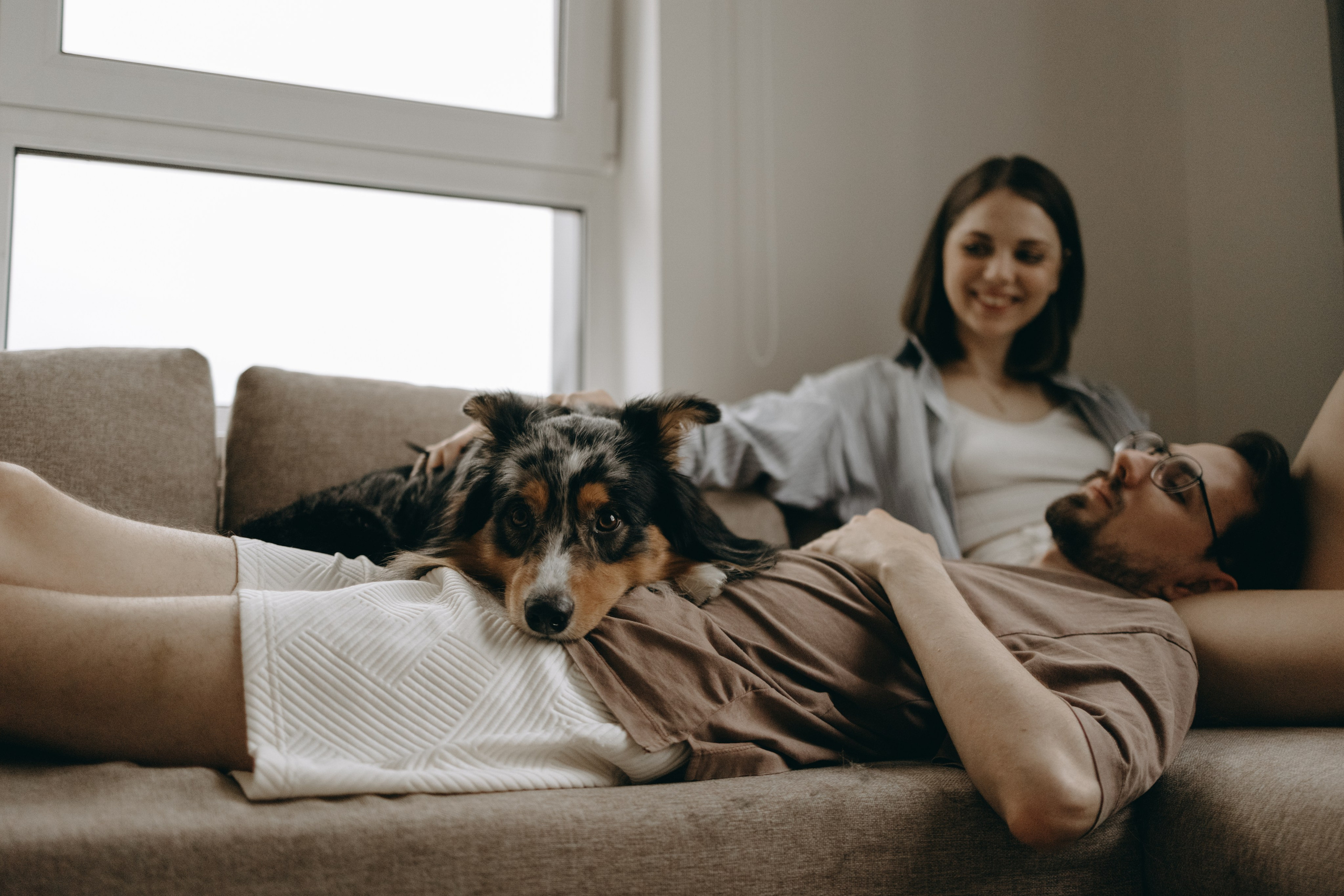 Настя, Никита и их Гром и Мяу. Фотограф — Анималист | Санкт-Петербург