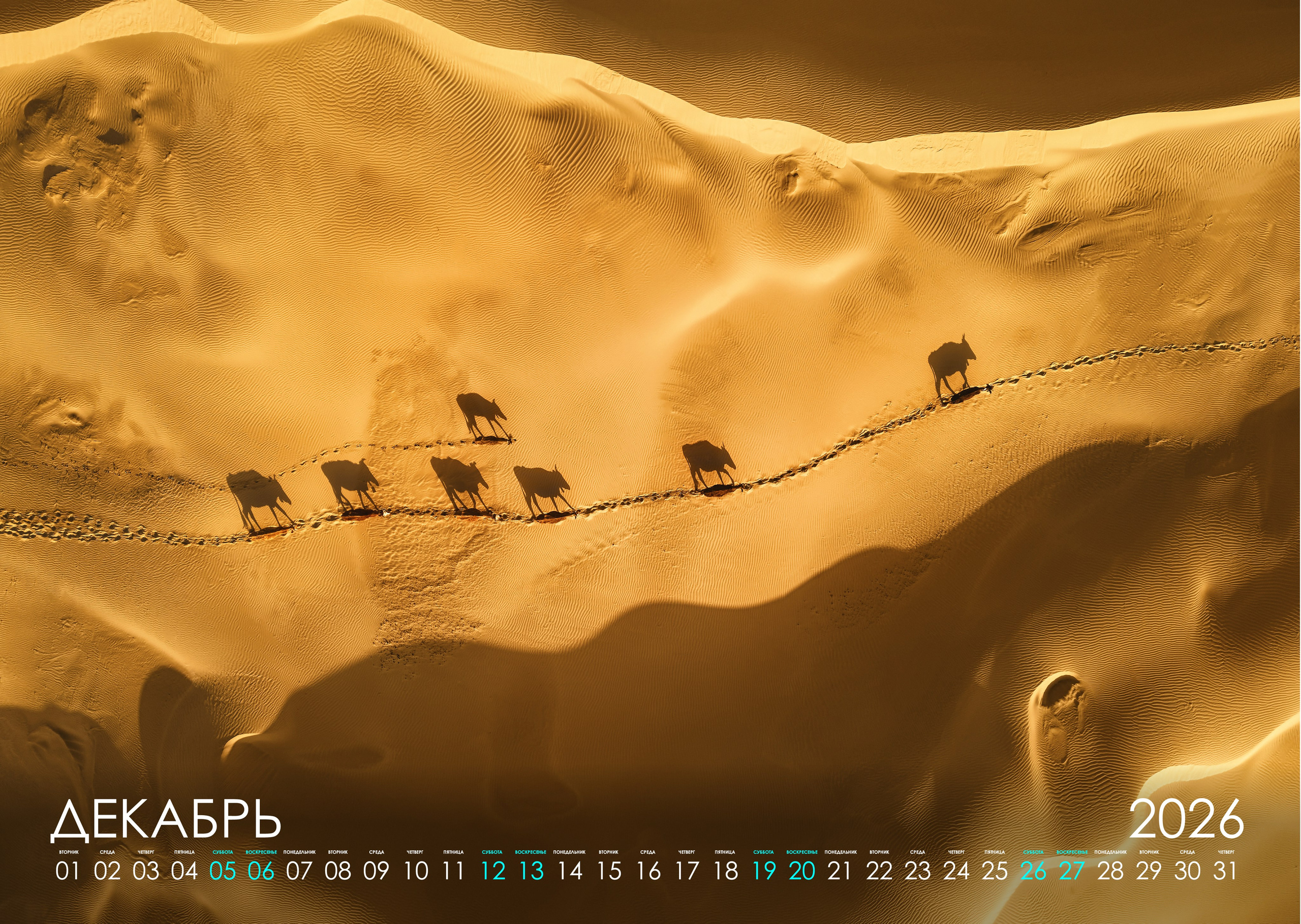 Календарь 2026 (КАЗАХСТАН). Фотограф Константин Шамин