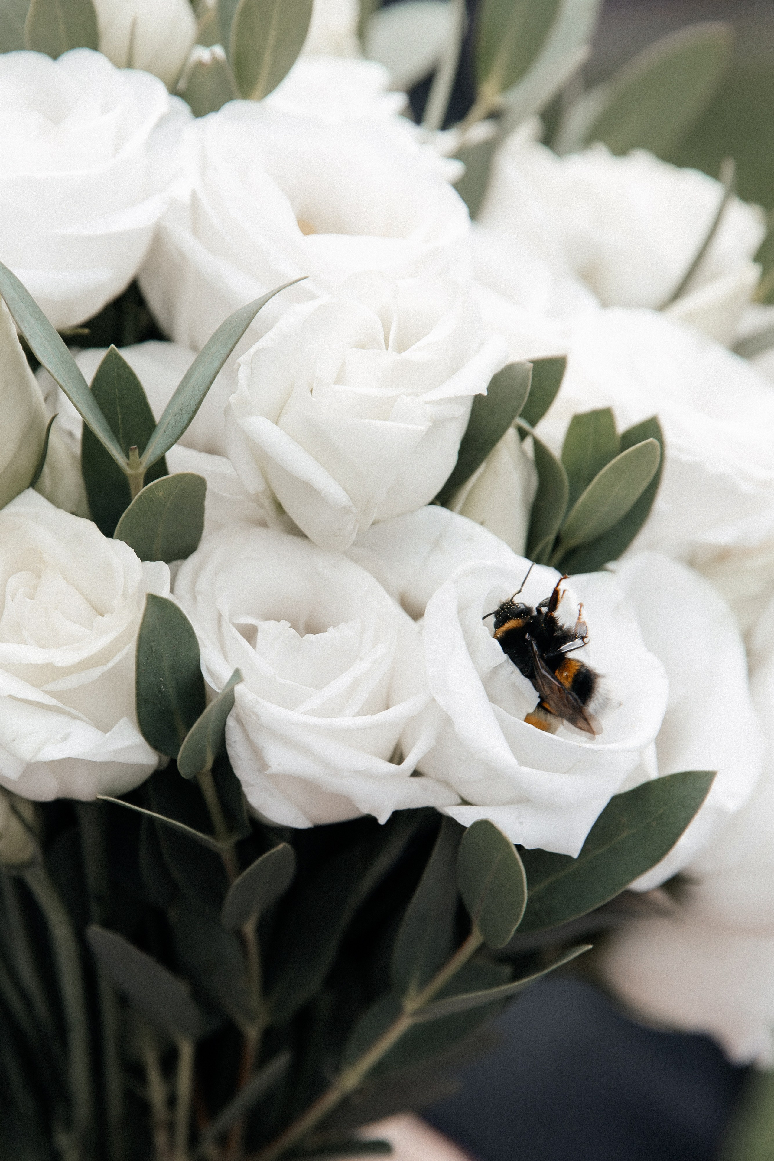 Игорь & Елена. Свадебный фотограф в Нижнем Новгороде