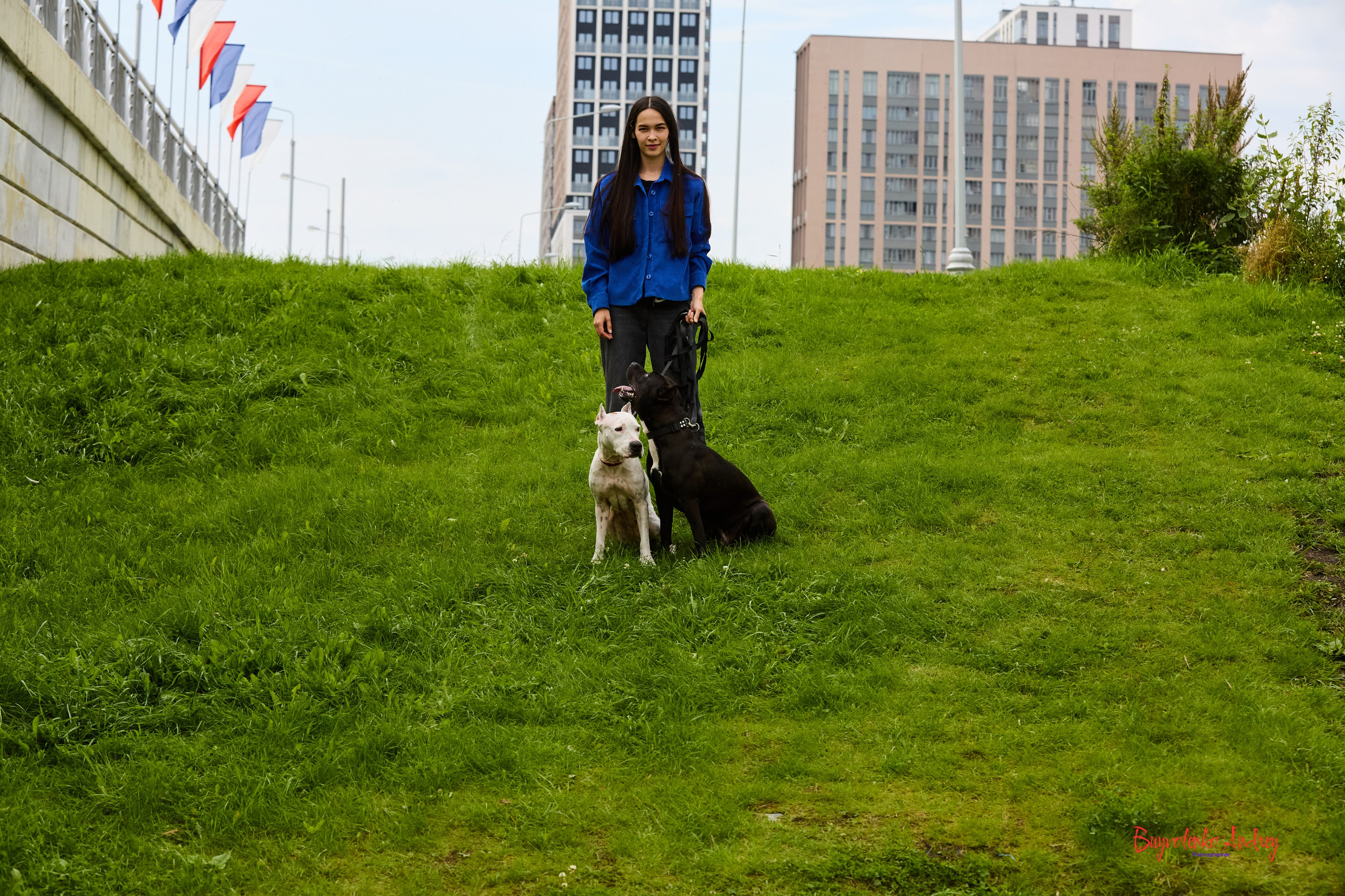 Проект фотопрогулка с хвостиком. Buyvolenko Andrey