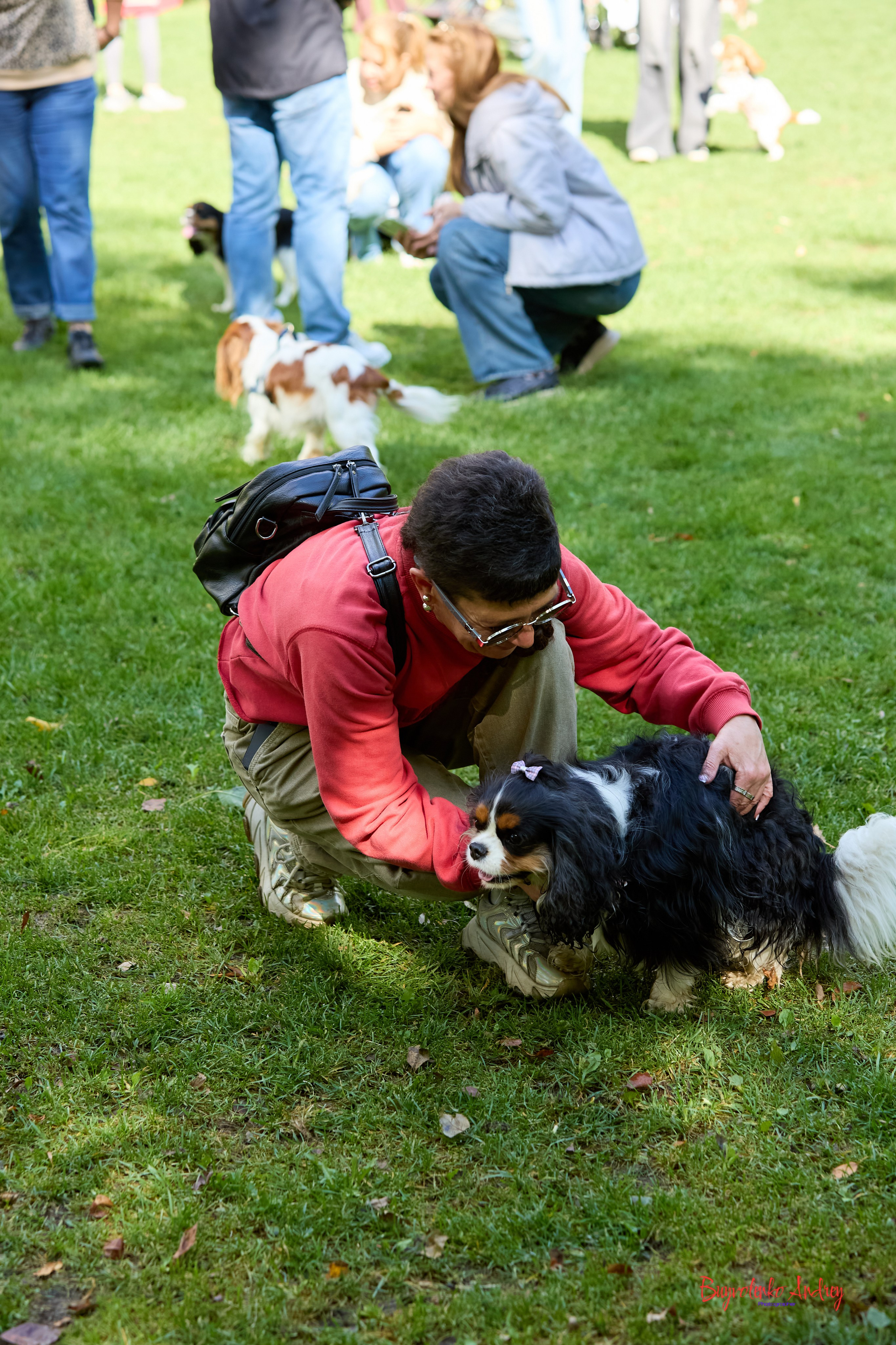 Фотопрогулка с кавалерами. Buyvolenko Andrey