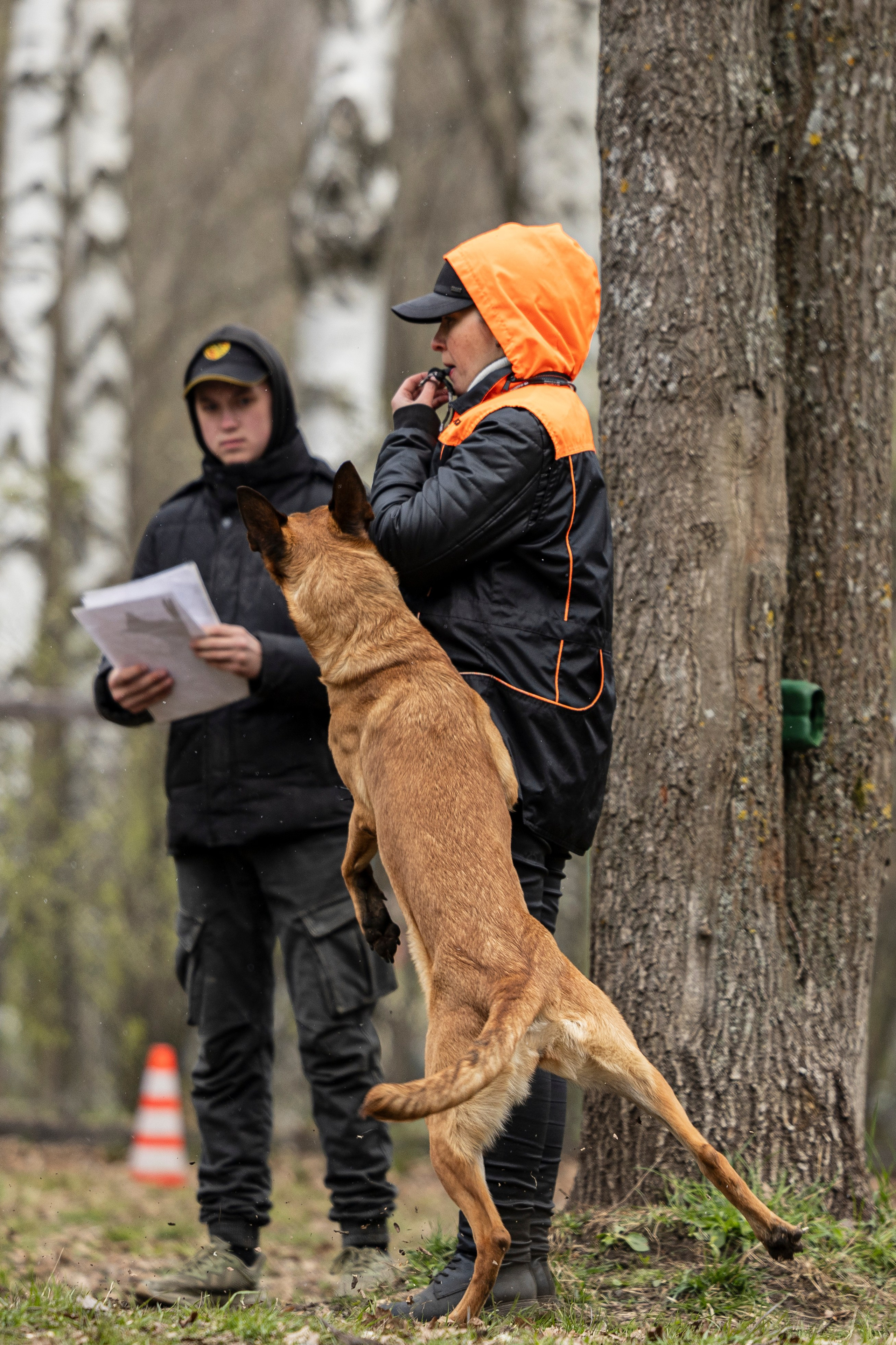 Квалификационные состязания по мондьорингу г. Вологда 11.05.24. Фотограф-анималист Анна Маринич