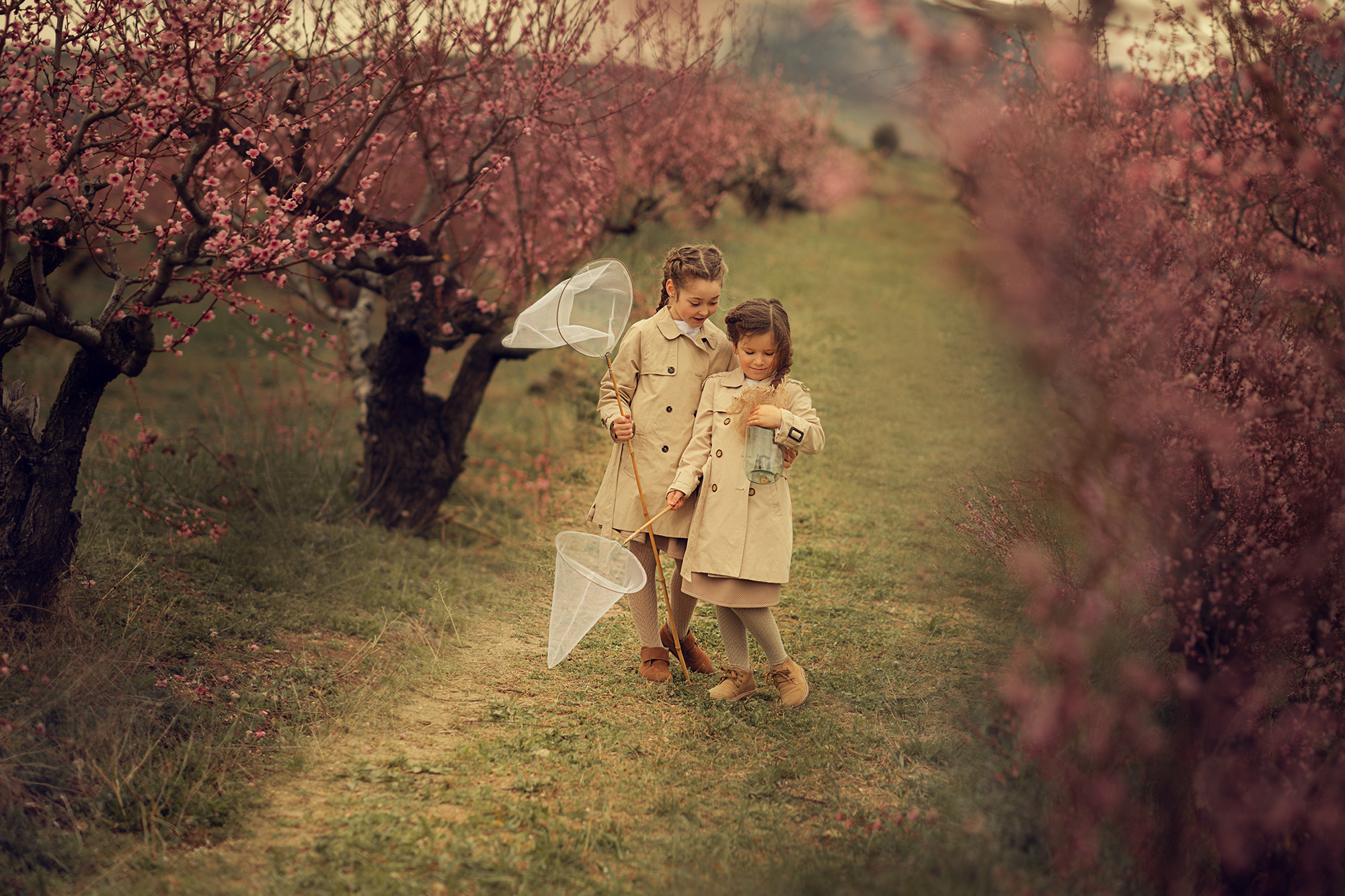Портфолио (вебинар). Наталья Рапопорт. Онлайн-курсы по фотографии и съемке видео