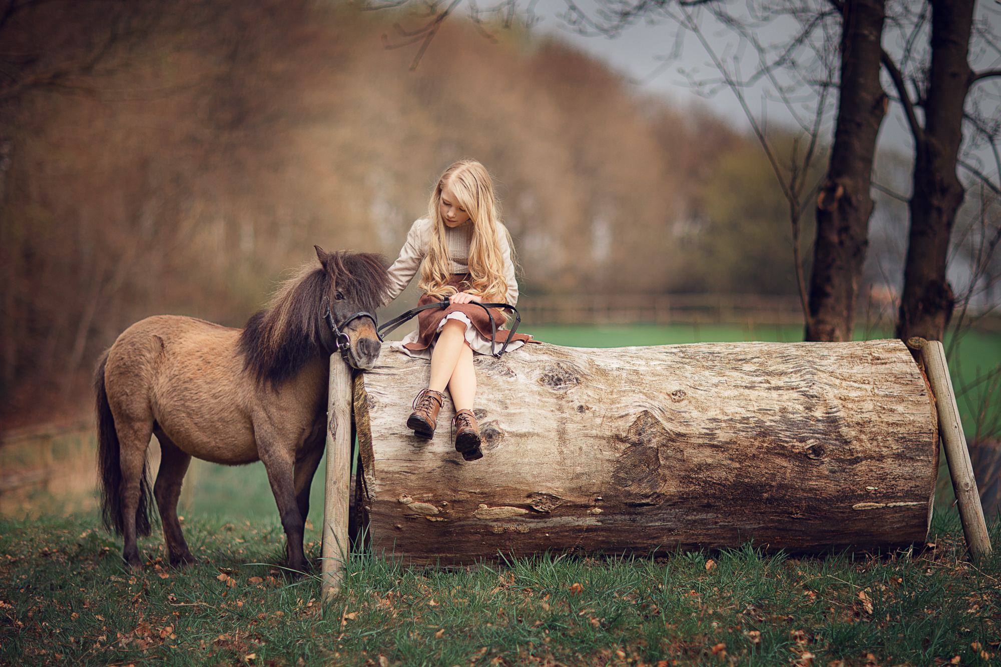 Портфолио (вебинар). Наталья Рапопорт. Онлайн-курсы по фотографии и съемке видео