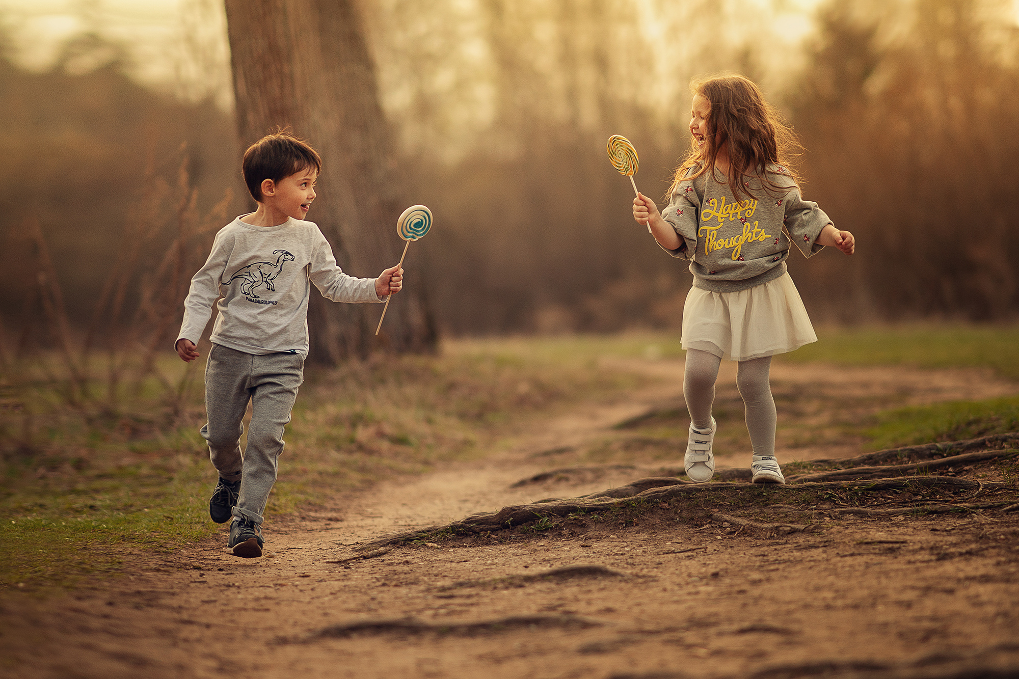 Портфолио (курс). Наталья Рапопорт. Онлайн-курсы по фотографии и съемке видео
