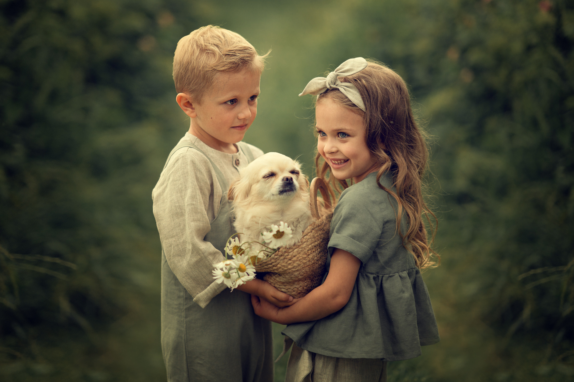 Портфолио (курс). Наталья Рапопорт. Онлайн-курсы по фотографии и съемке видео